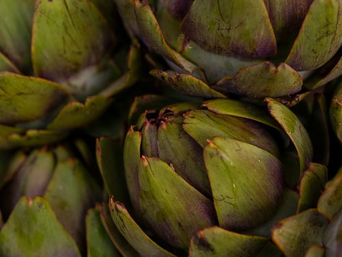 Free Detailed macro shot of fresh green artichokes showcasing natural textures and colors at a market. Stock Photo