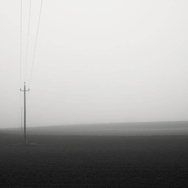 Minimal foggy landscape — photo by Simon Berger on Pexels