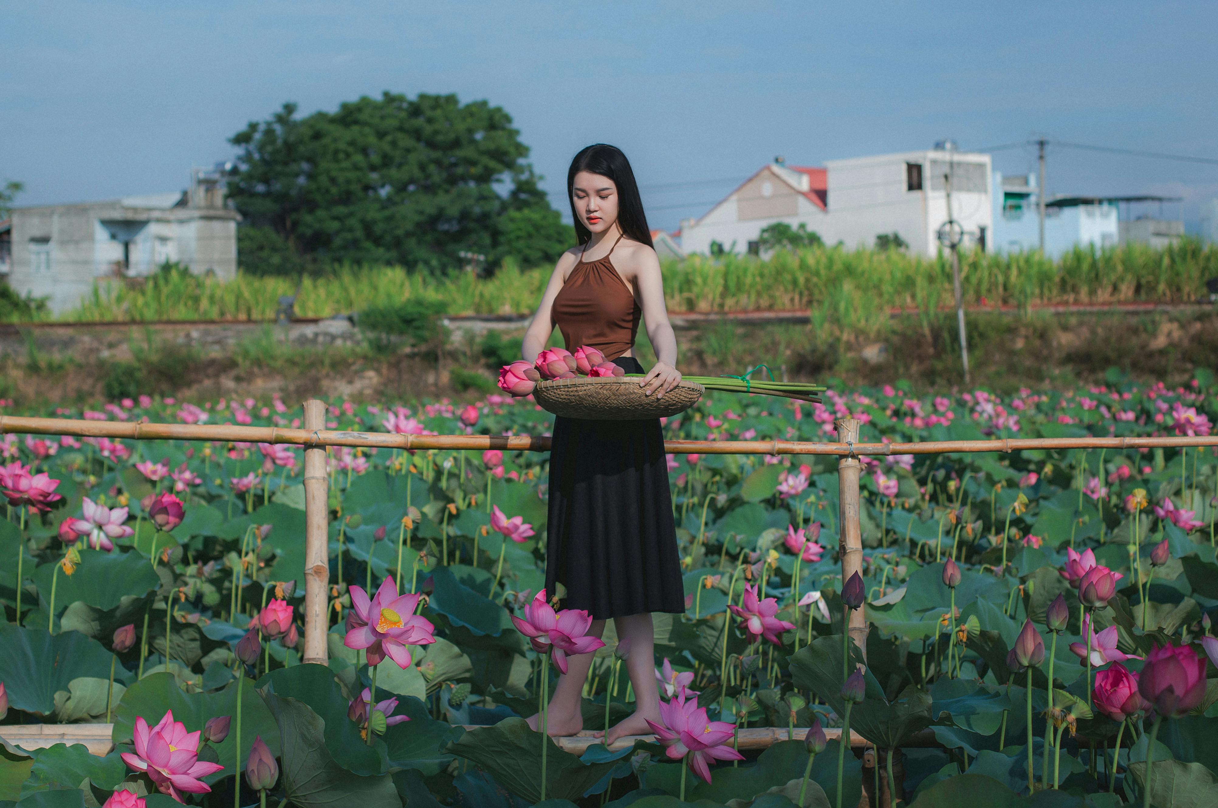 A young woman holds a basket of lotus flowers in a vibrant field in Hội An, Vietnam.
