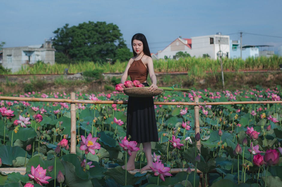 A young woman holds a basket of lotus flowers in a vibrant field in Hội An, Vietnam.