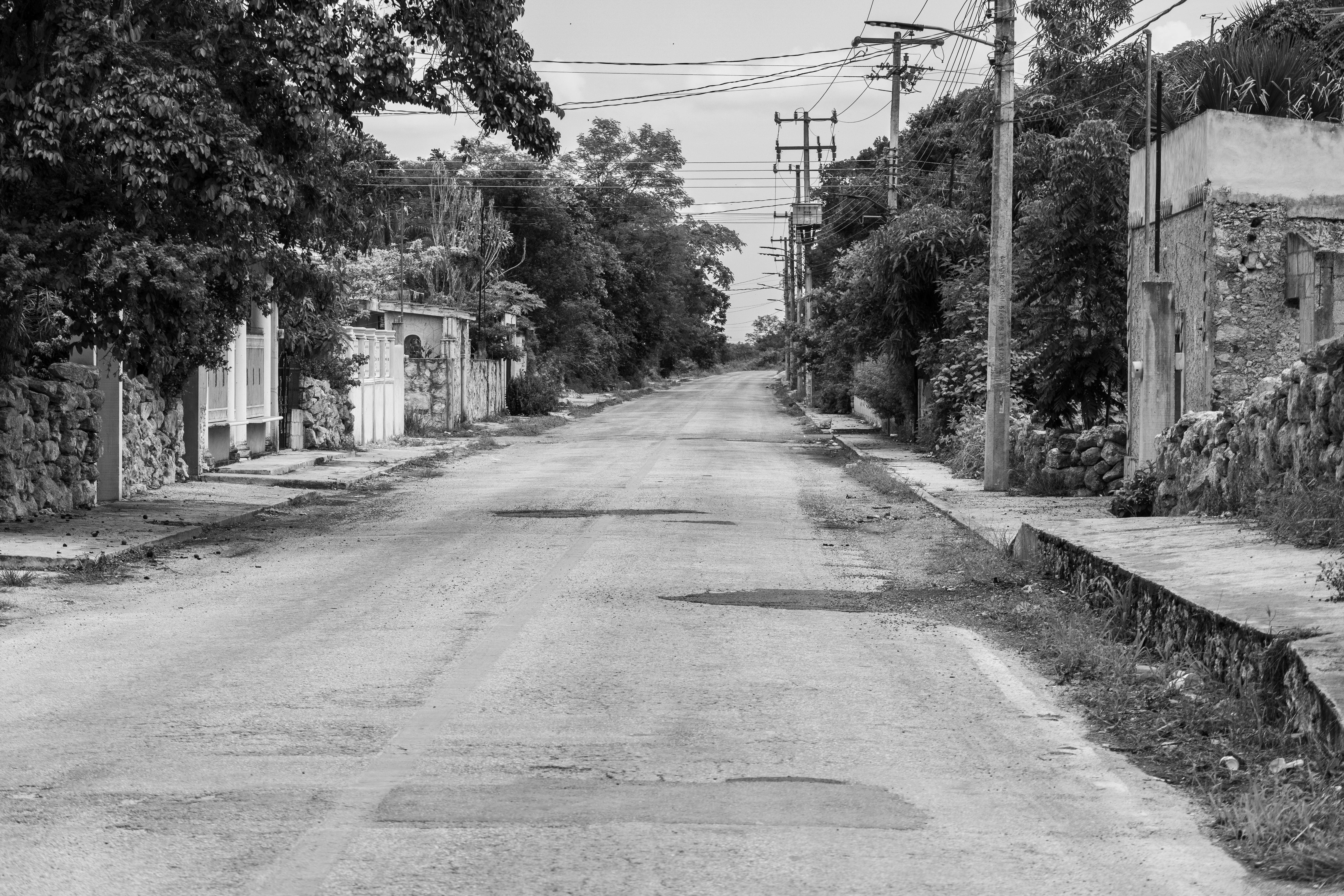 Yucatan State : Guide Voyage Mexique 2026