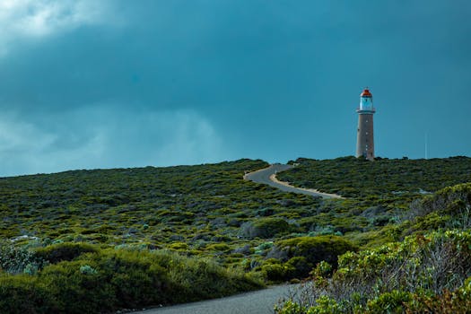 郁郁葱葱的山上，一座灯塔矗立在蜿蜒的道路旁，构成宁静的景观