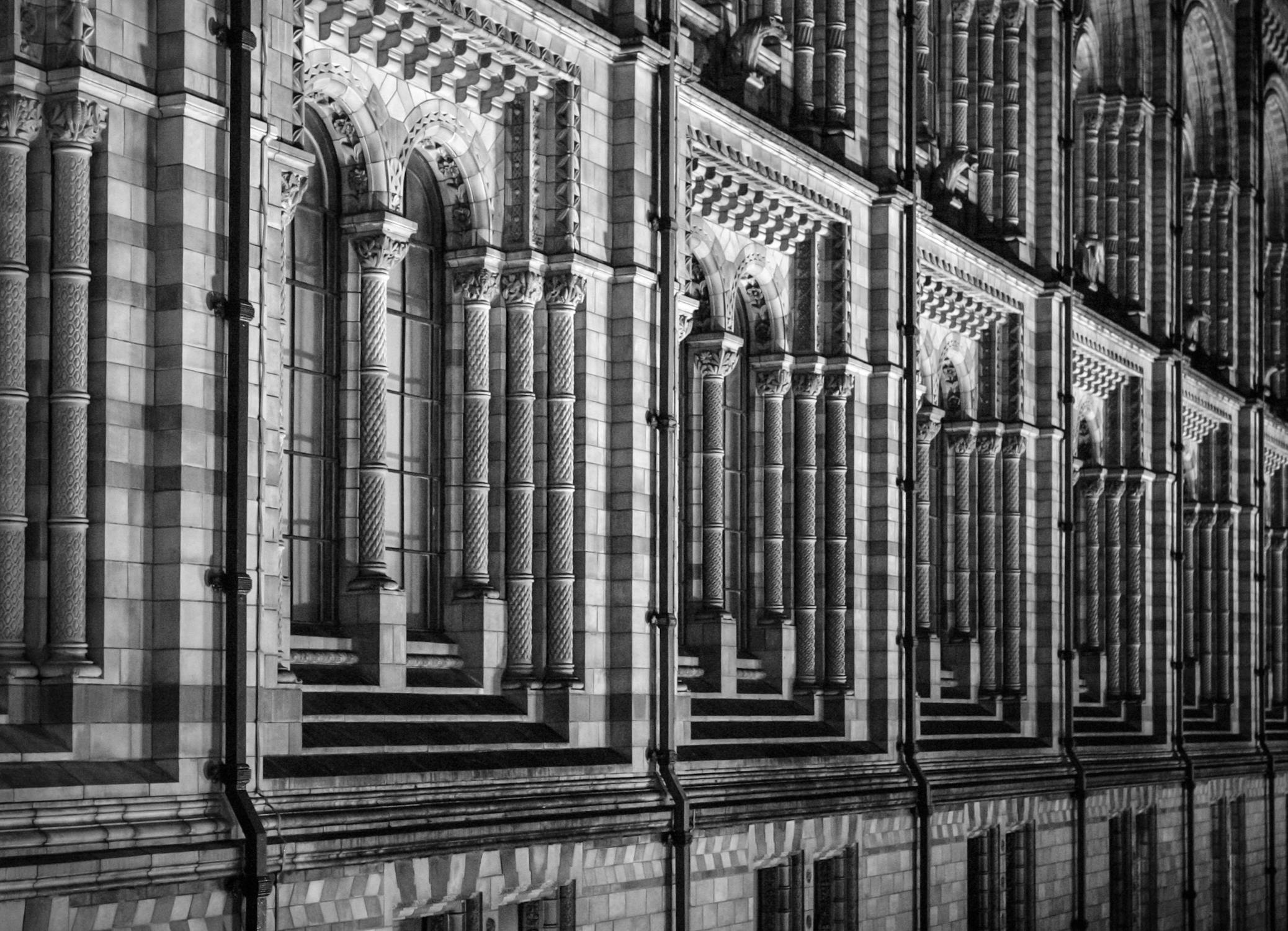 Elegant Architectural Detail Of Historic Building Free Stock Photo elegant-architectural-detail-of-historic-building-free-stock-photo