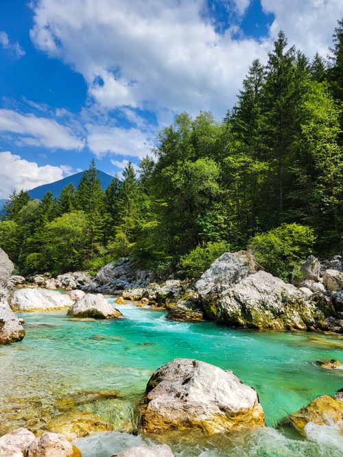 Free Crystal clear river flowing through lush forested mountains in Slovenia. Stock Photo