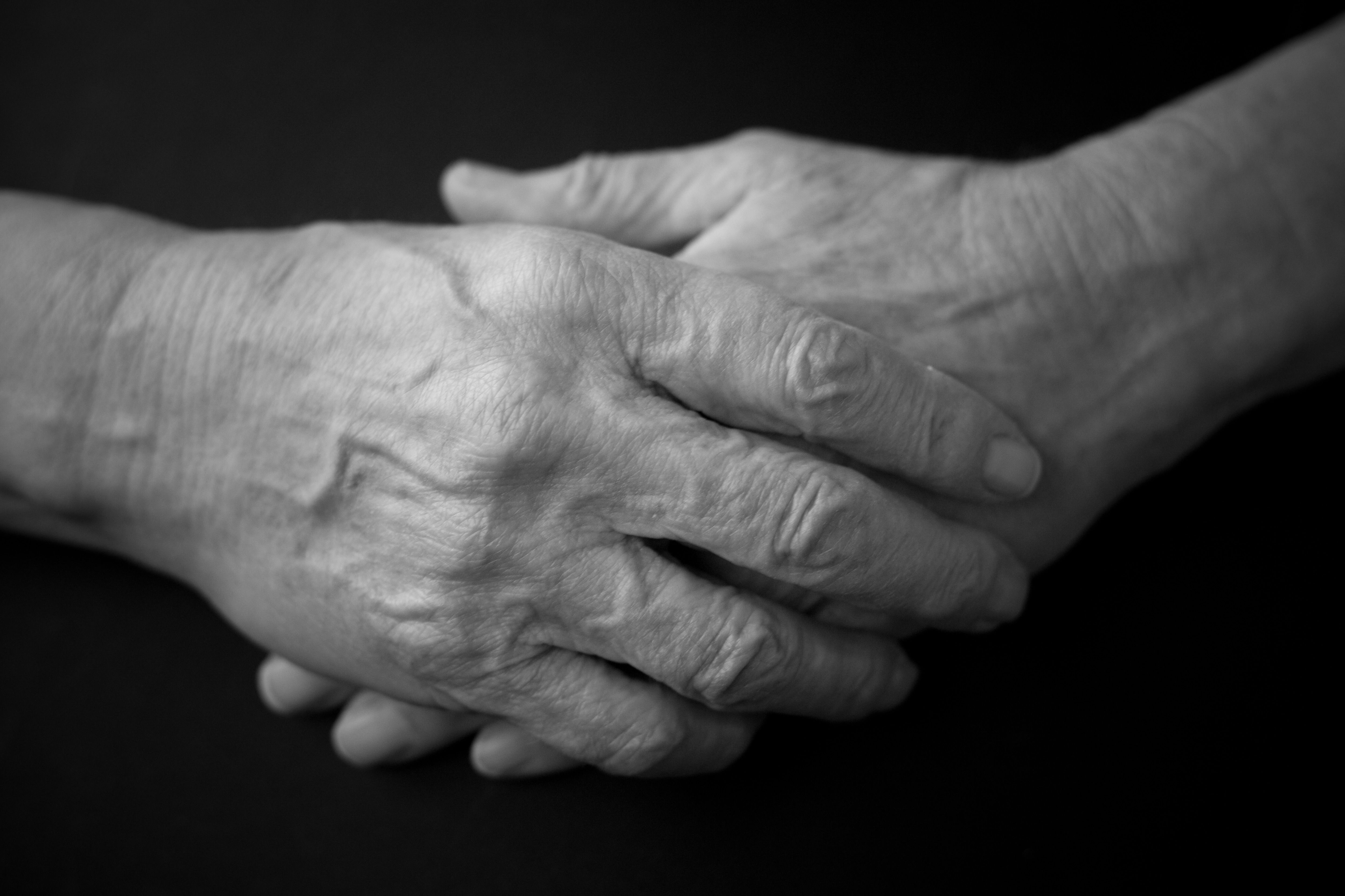 Close-Up of Elderly Hands in Black and White · Free Stock Photo
