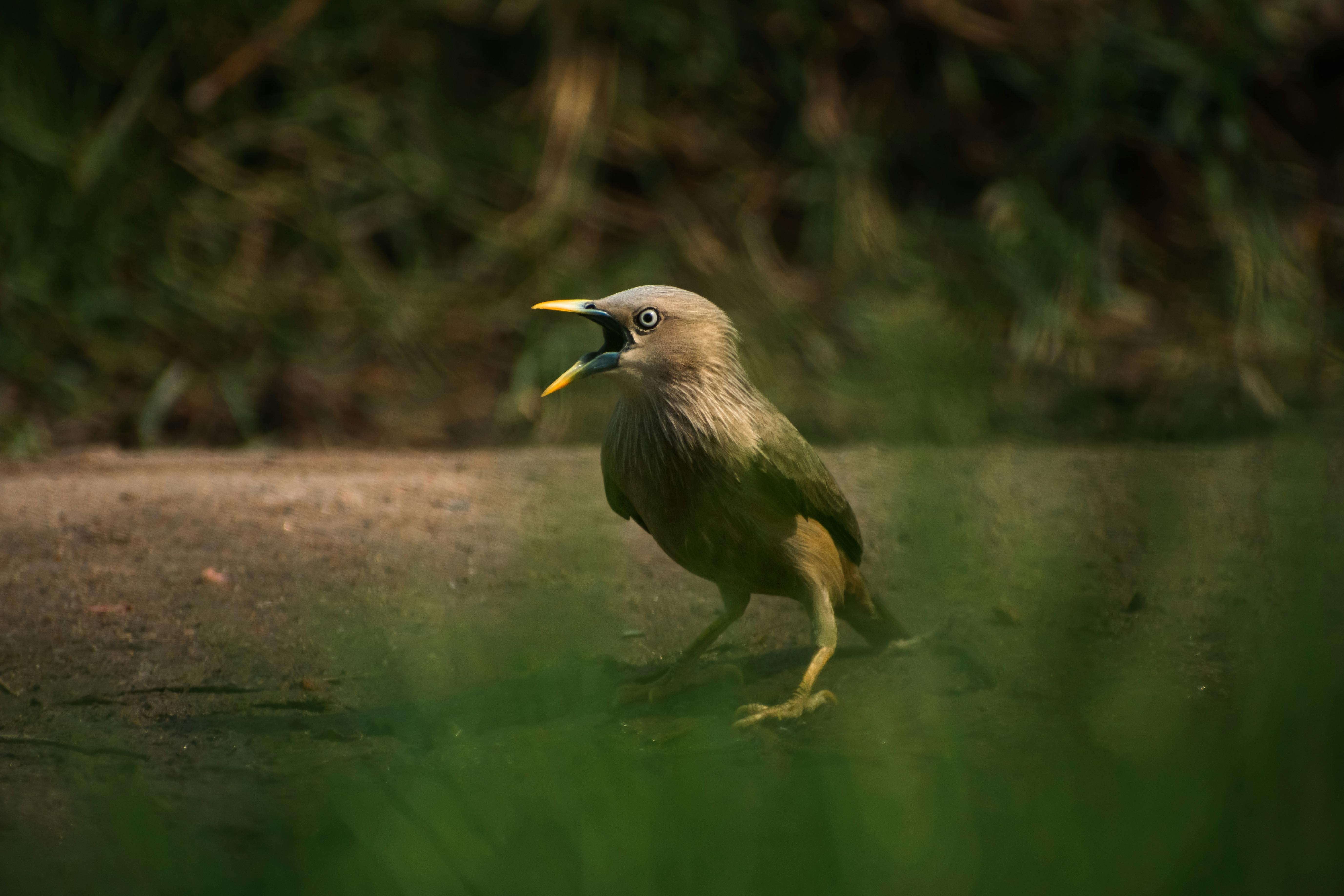 Image of a busy street scene with people walking, symbolizing everyday business operations.