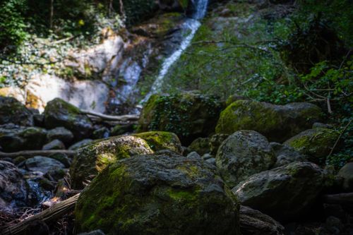 Free Peaceful forest waterfall flowing over moss-covered rocks, captured in nature. Stock Photo