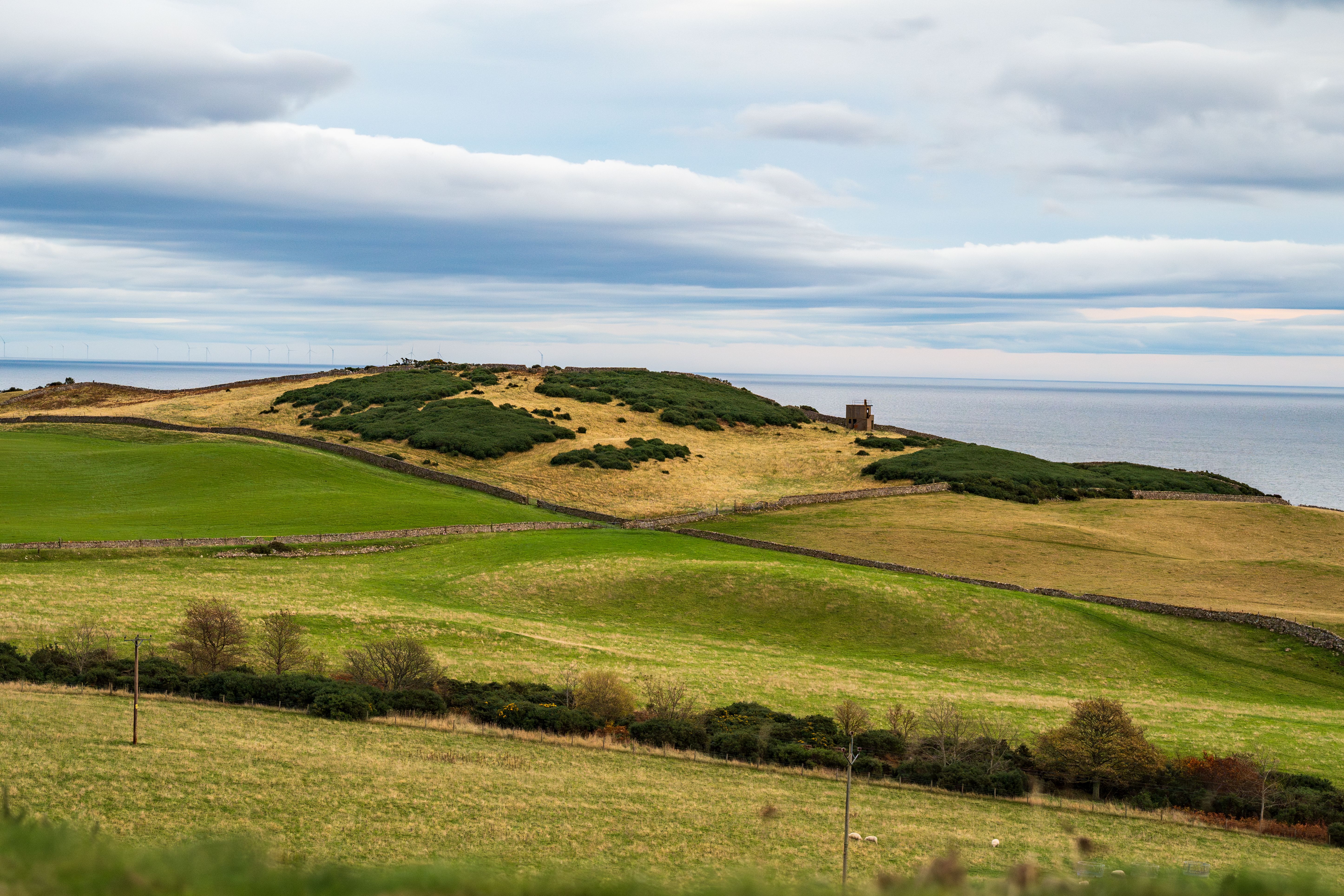 Scenic Coastal Landscape with Rolling Green Hills · Free Stock Photo