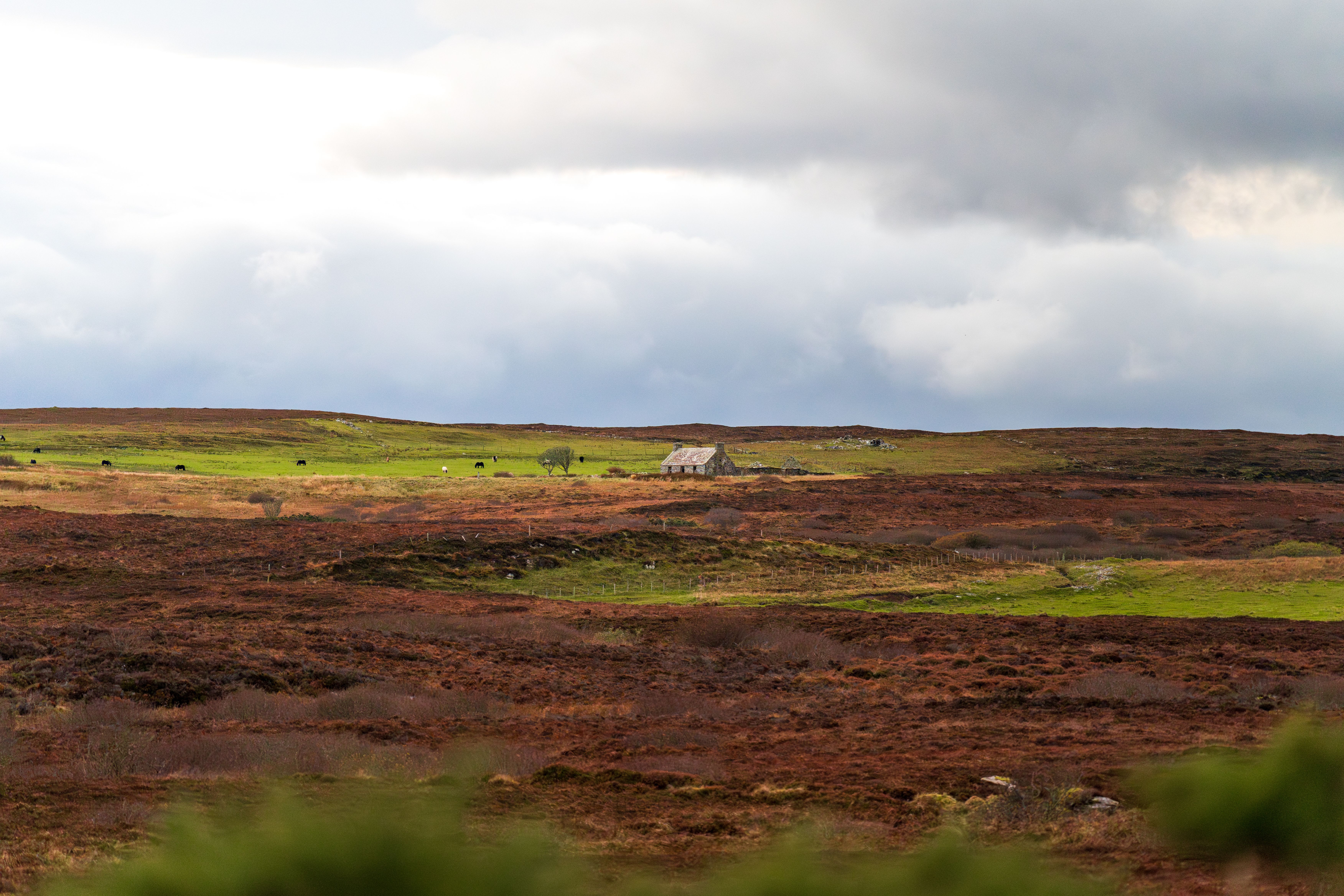 Peaceful Countryside Landscape with Cloudy Sky · Free Stock Photo
