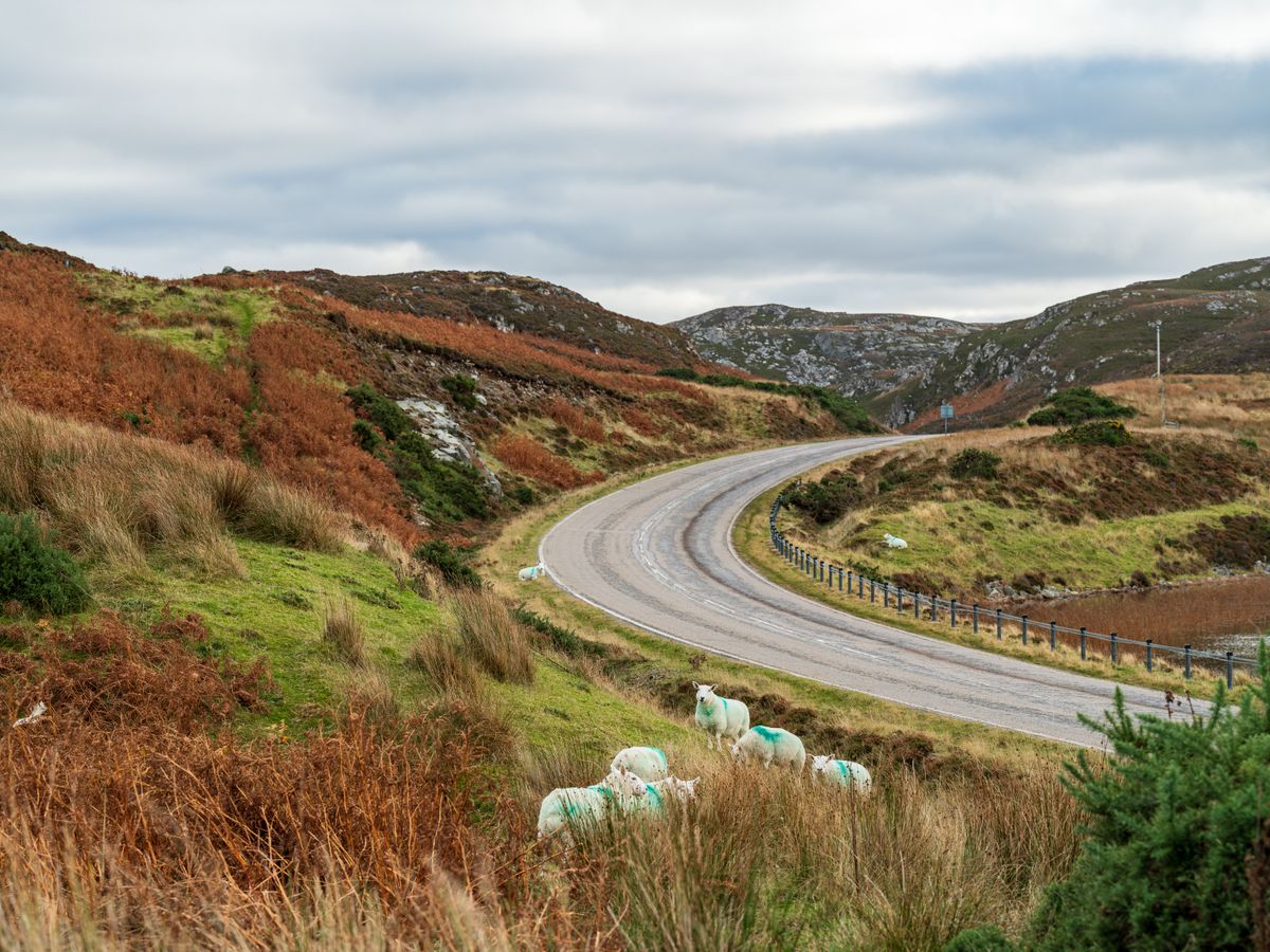 6 Day Life Purpose Retreat in Scotland,UK 1