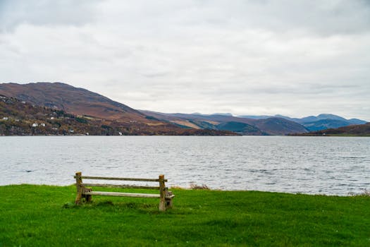 Peaceful scene of a bench by a lake with a backdrop of rolling hills and overcast skies.