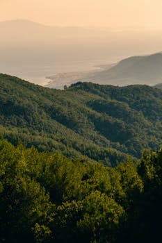 Scenic view of coastal town and lush forests under soft orange sky at sunset.