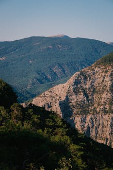 Stunning landscape of forested mountains and deep canyon under a clear sky.