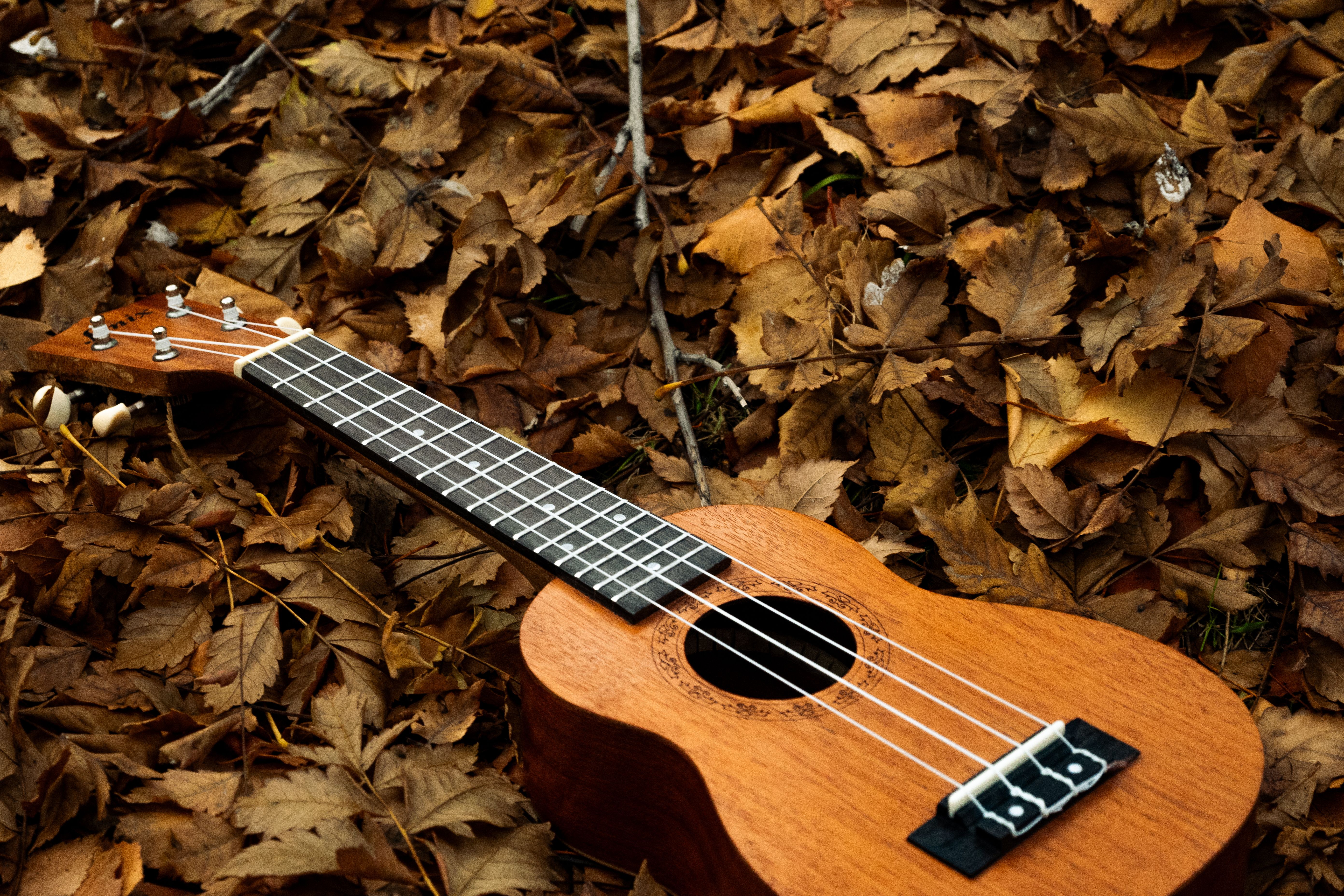 Ukulele on Autumn Leaves Outdoors · Free Stock Photo