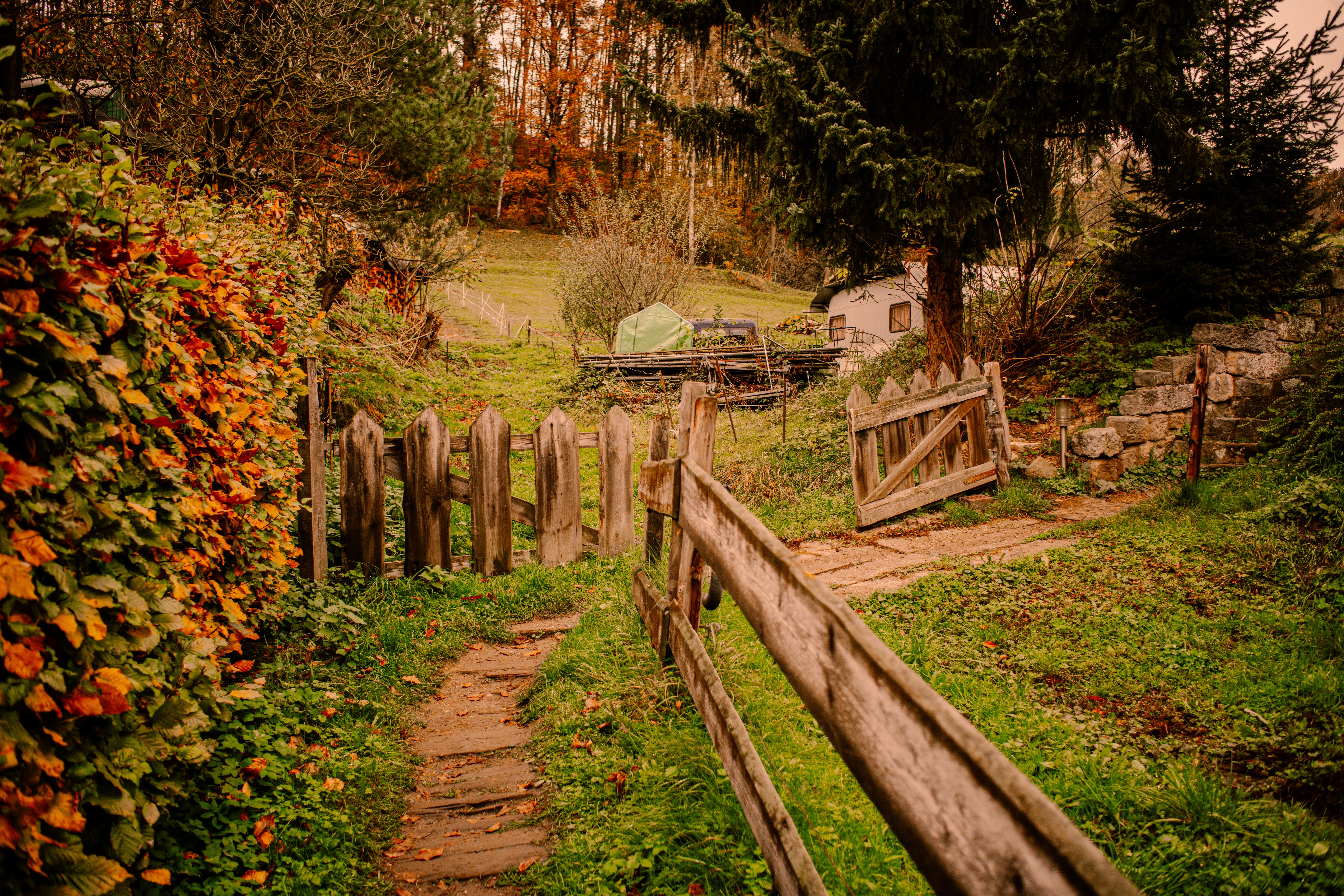 Gartenweg mit ruhiger Bepflanzung