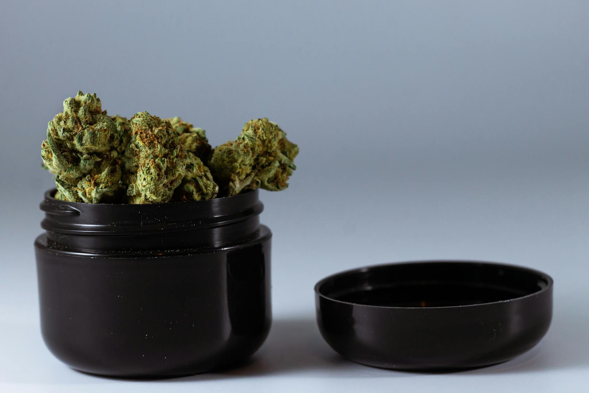 Detailed view of cannabis buds stored in a black container with the lid removed.