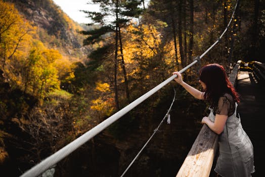 A woman stands on a bridge overlooking a vibrant autumn forest, capturing the beauty of fall foliage.