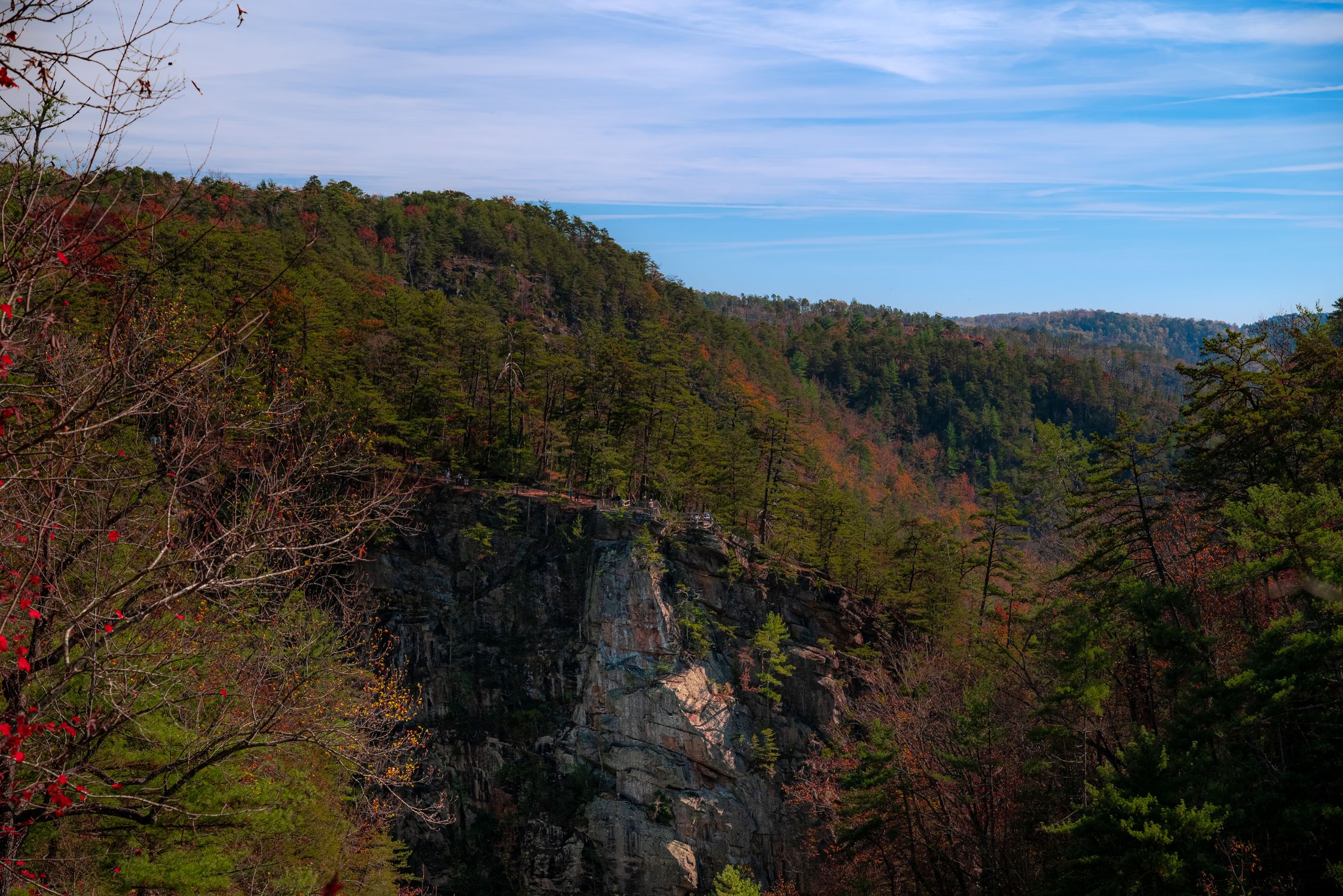 Cliffs Background Fall Scenic Overlook of Forested Cliff in Autumn · Free Stock Photo