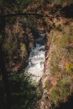 A breathtaking waterfall cascading through an autumn forest, showcasing nature's beauty.