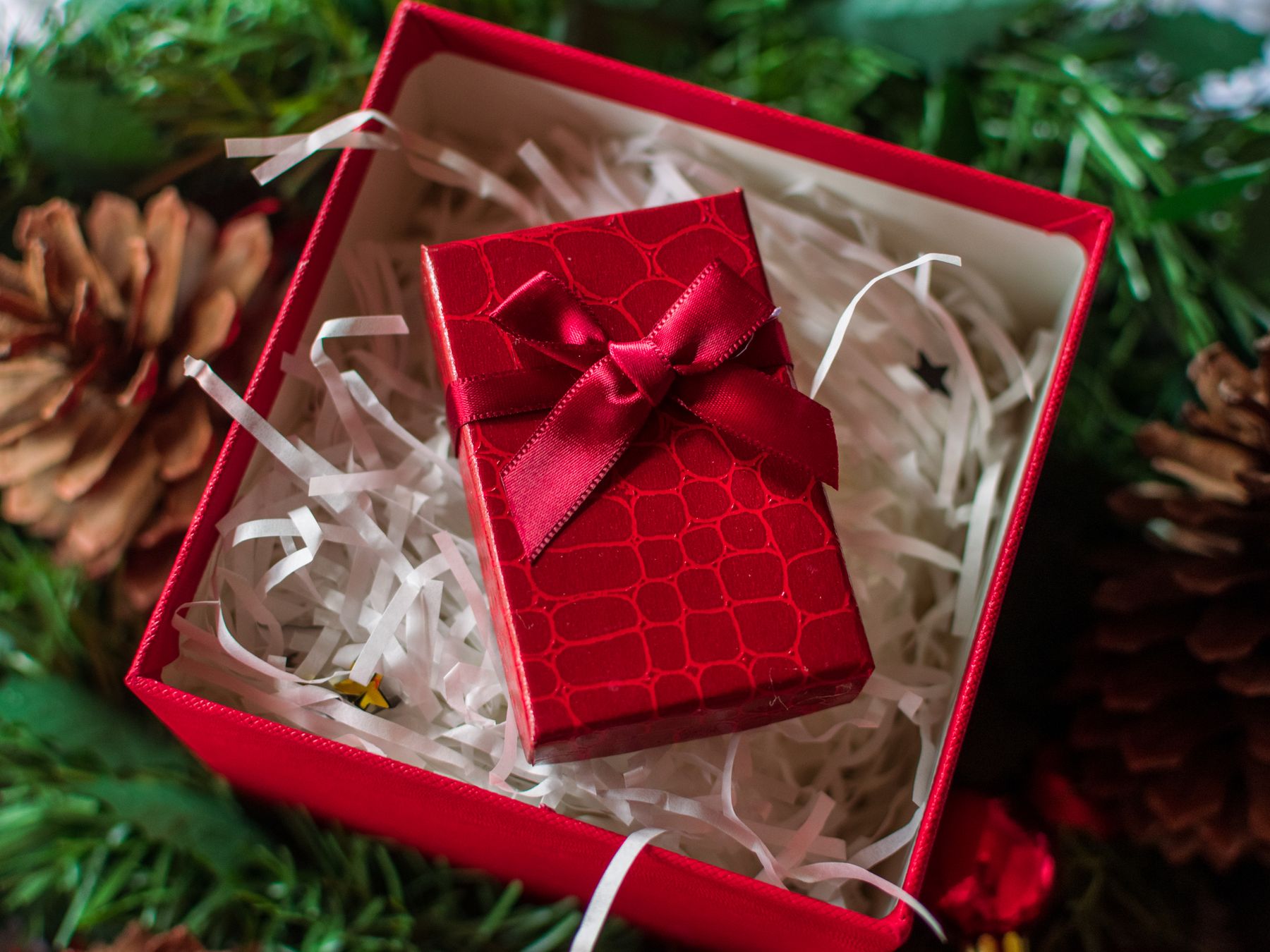 Mark — professional packers wrapping and boxing belongings