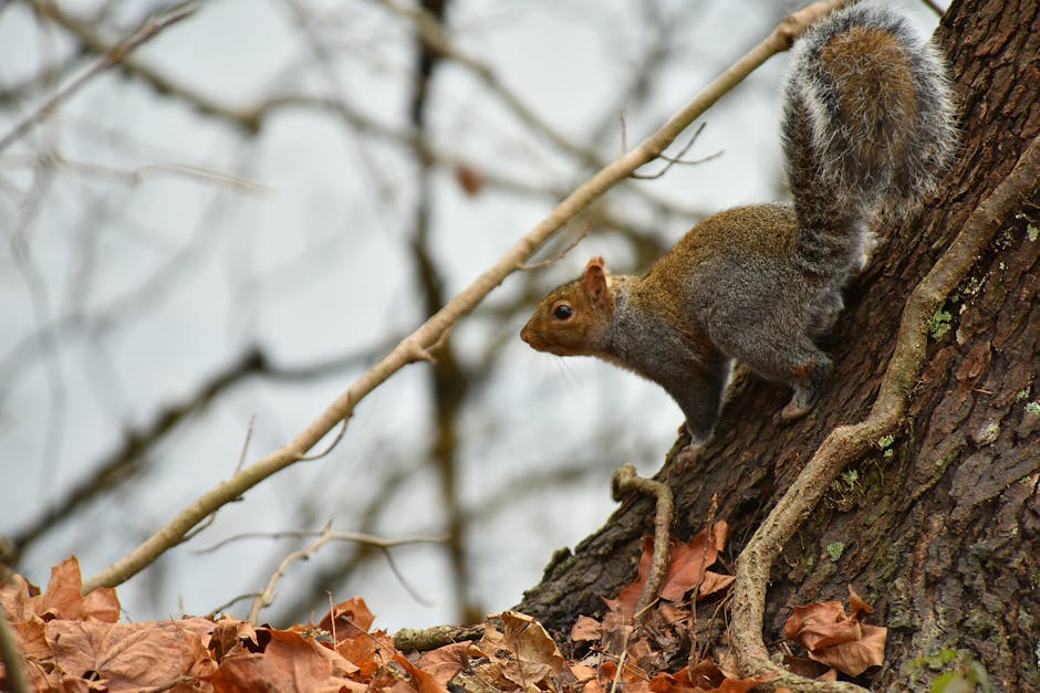 Diving into Nature's Pantry: Foraging Adventures for Wild Edible Treasures