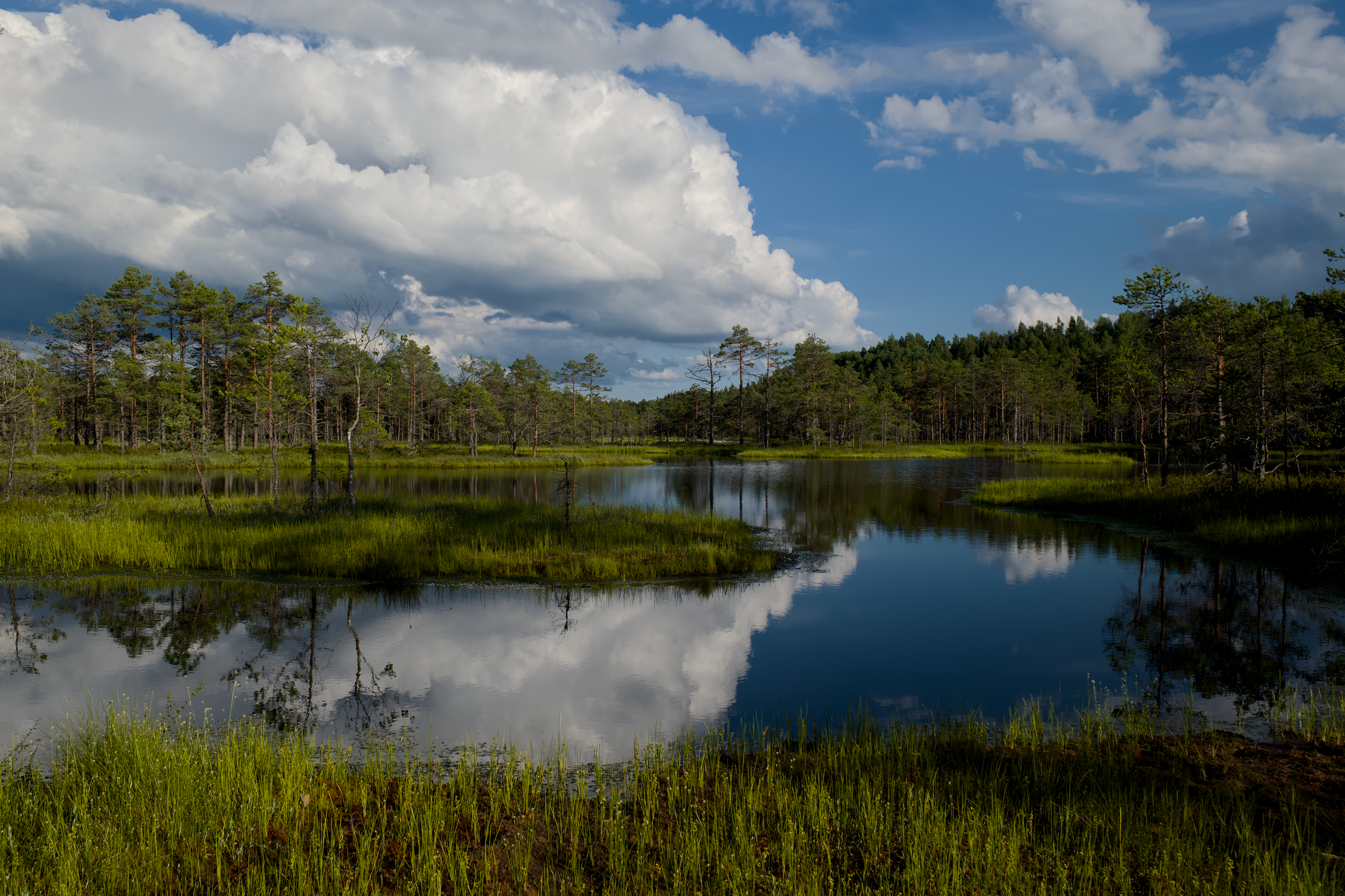 Free stock photo of bog, calm, clouds