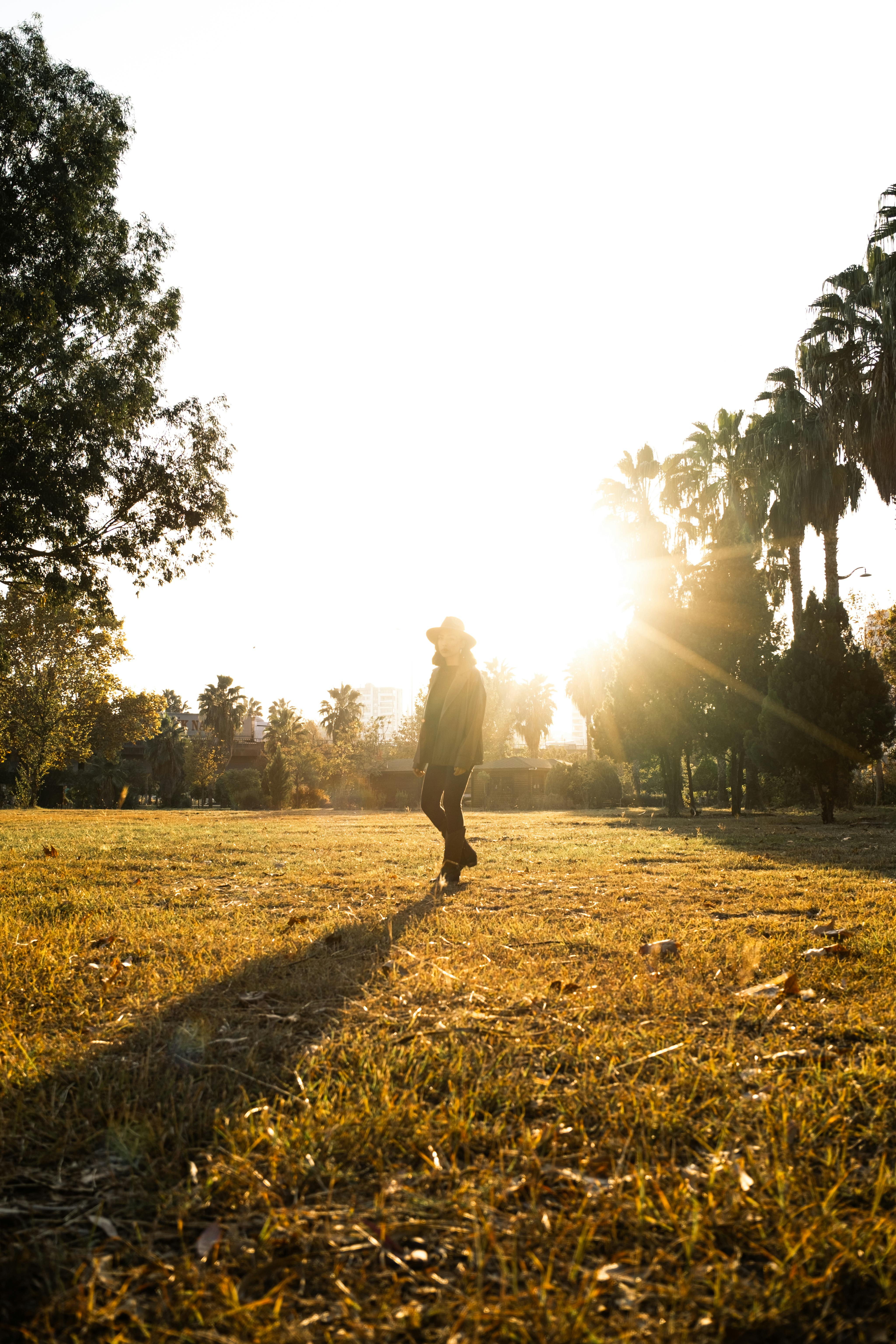 A person in silhouette walks in a sunlit park, surrounded by tall trees and grass.