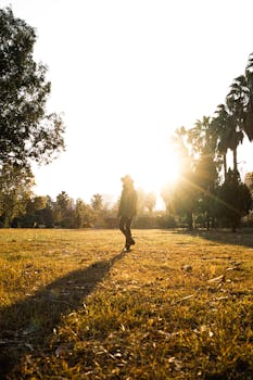 A person in silhouette walks in a sunlit park, surrounded by tall trees and grass.