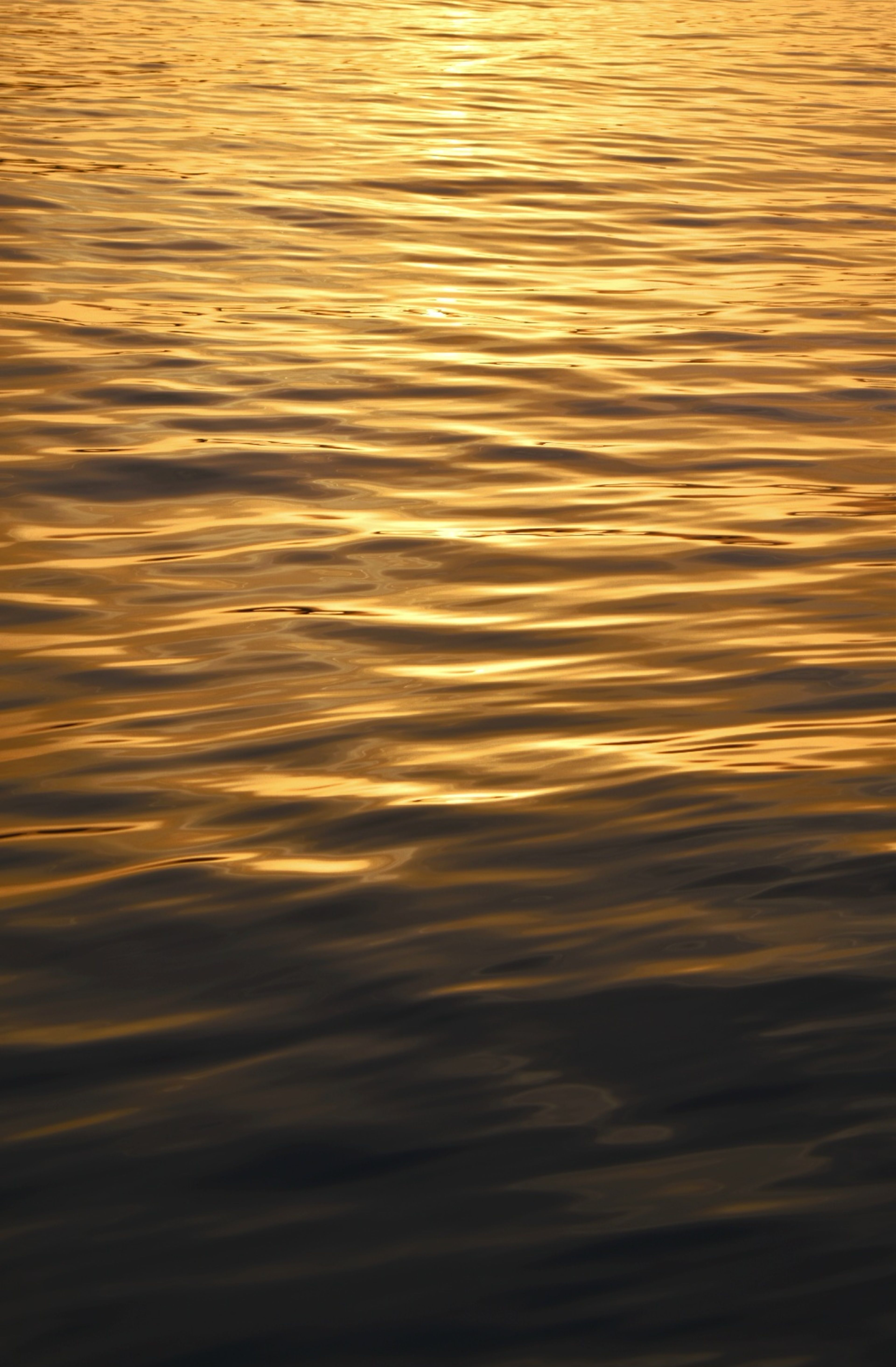 Golden Sunset Reflections on Gentle Water Waves · Free Stock Photo