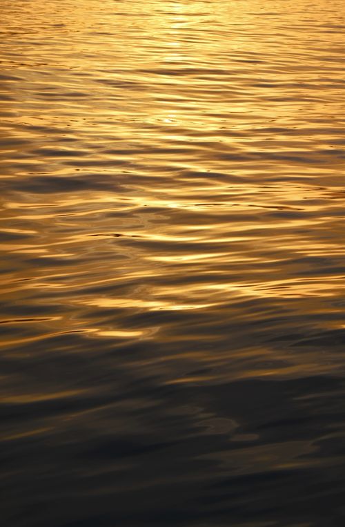 Free Calm golden water reflecting a sunset, creating a serene, abstract pattern. Stock Photo