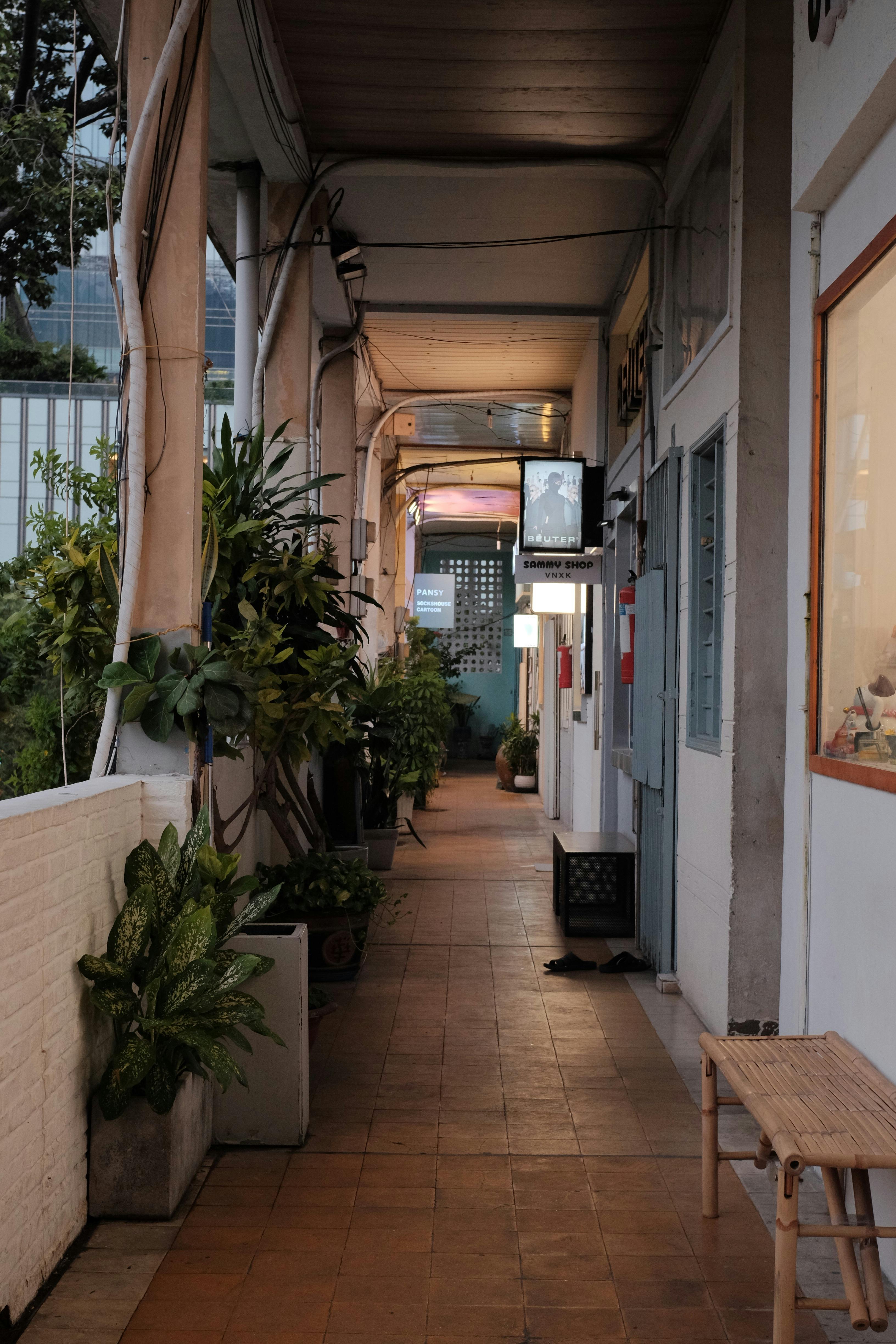 Gratuit Alee urbană fermecătoare împodobită cu verdeață luxuriantă și iluminare ambientală pentru o senzație confortabilă. Fotografie de stoc