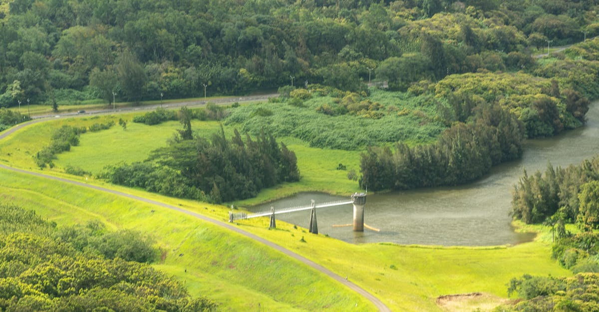 Photo by Andres Daza Scenic view of lush green Hawaiian landscape with a winding river and dense forest.