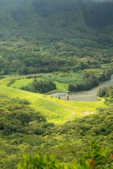 Photo by Andres Daza Scenic view of lush green Hawaiian landscape with a winding river and dense forest.