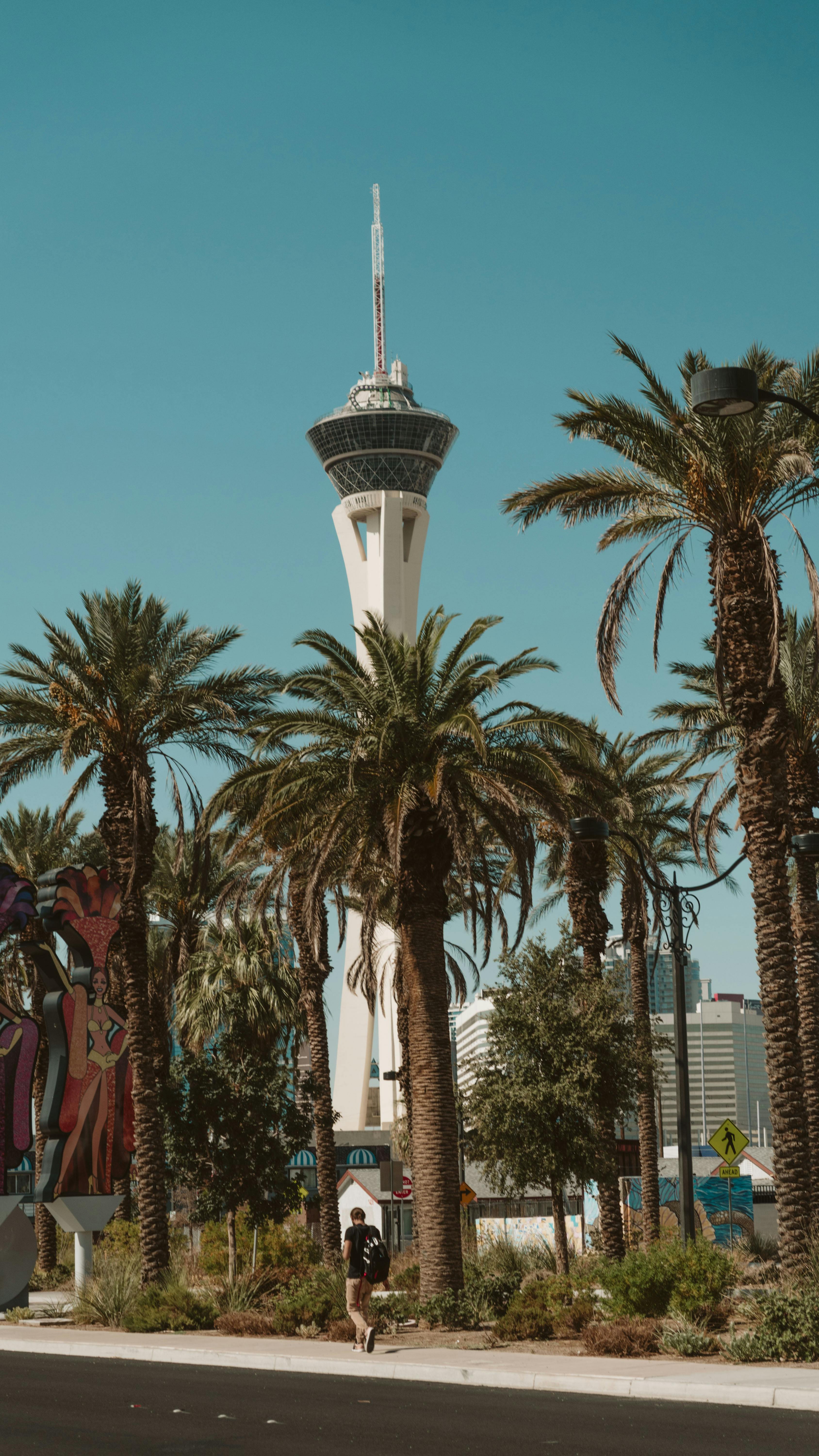 iconic stratosphere tower in las vegas landscape