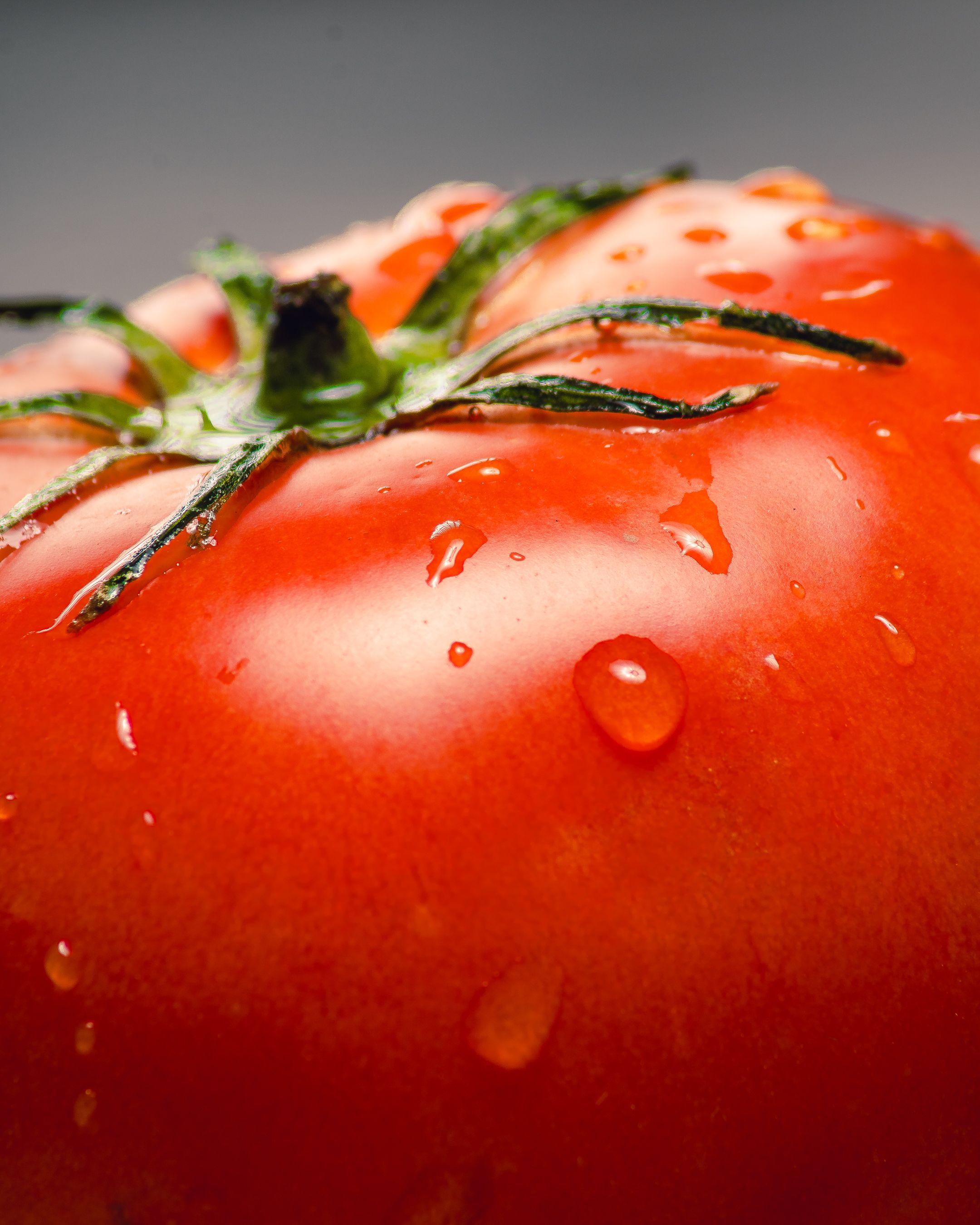Close-up of a Fresh Red Tomato with Water Droplets · Free Stock Photo