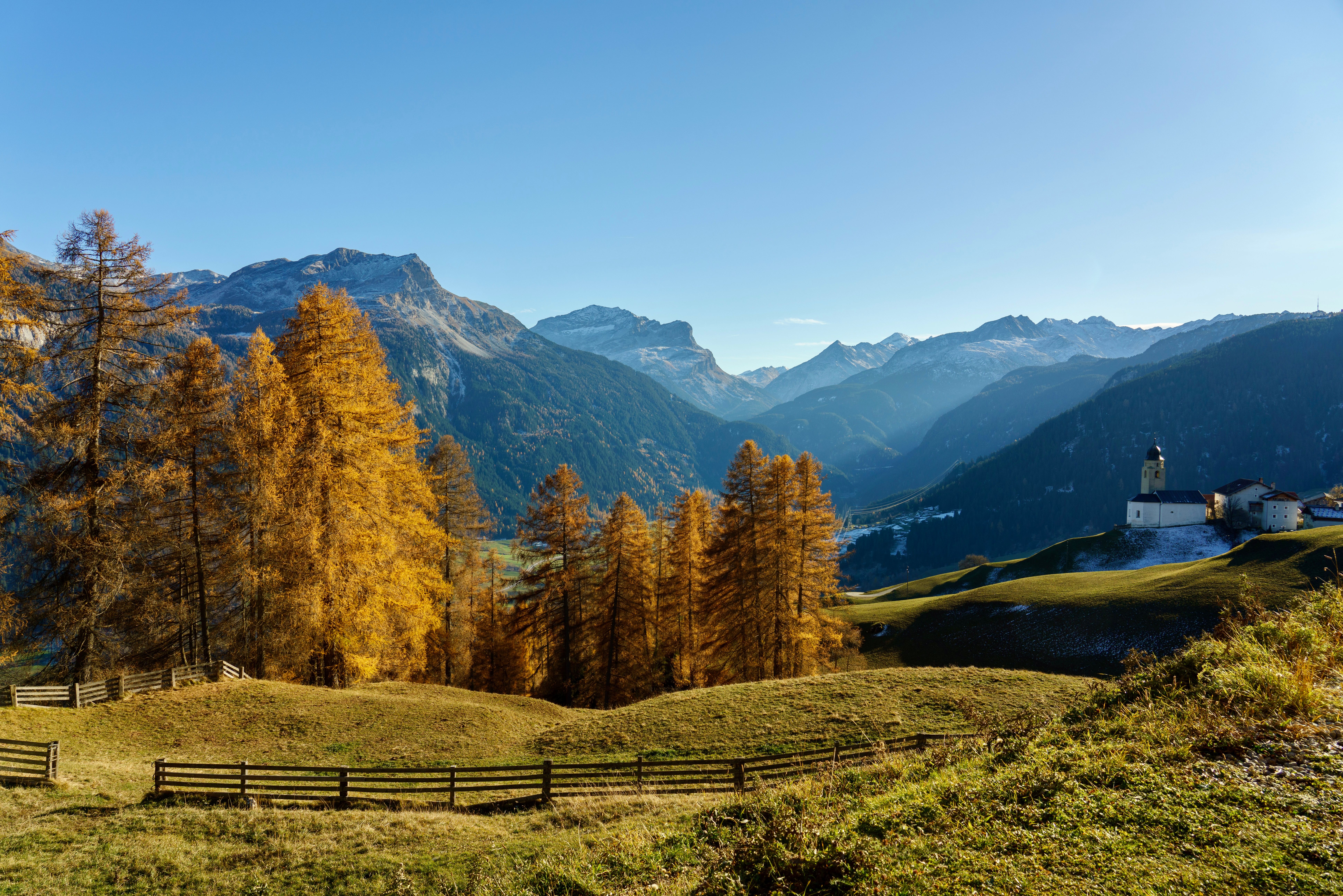 Golden Autumn Landscape with Alpine View · Free Stock Photo