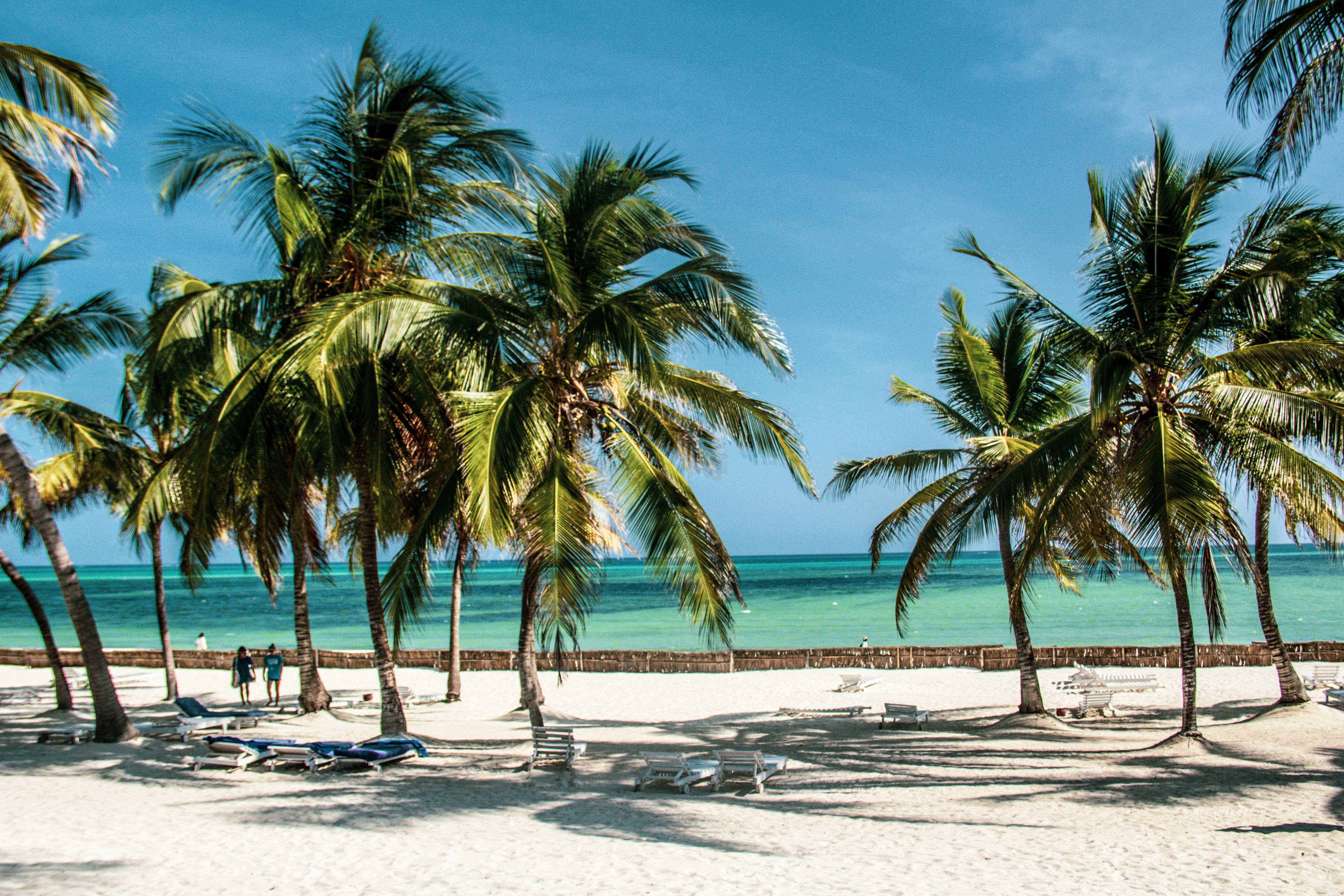 Team Fiji to adjust travel logistics ahead of Commonwealth Games — Photo by SLZ on Pexels
