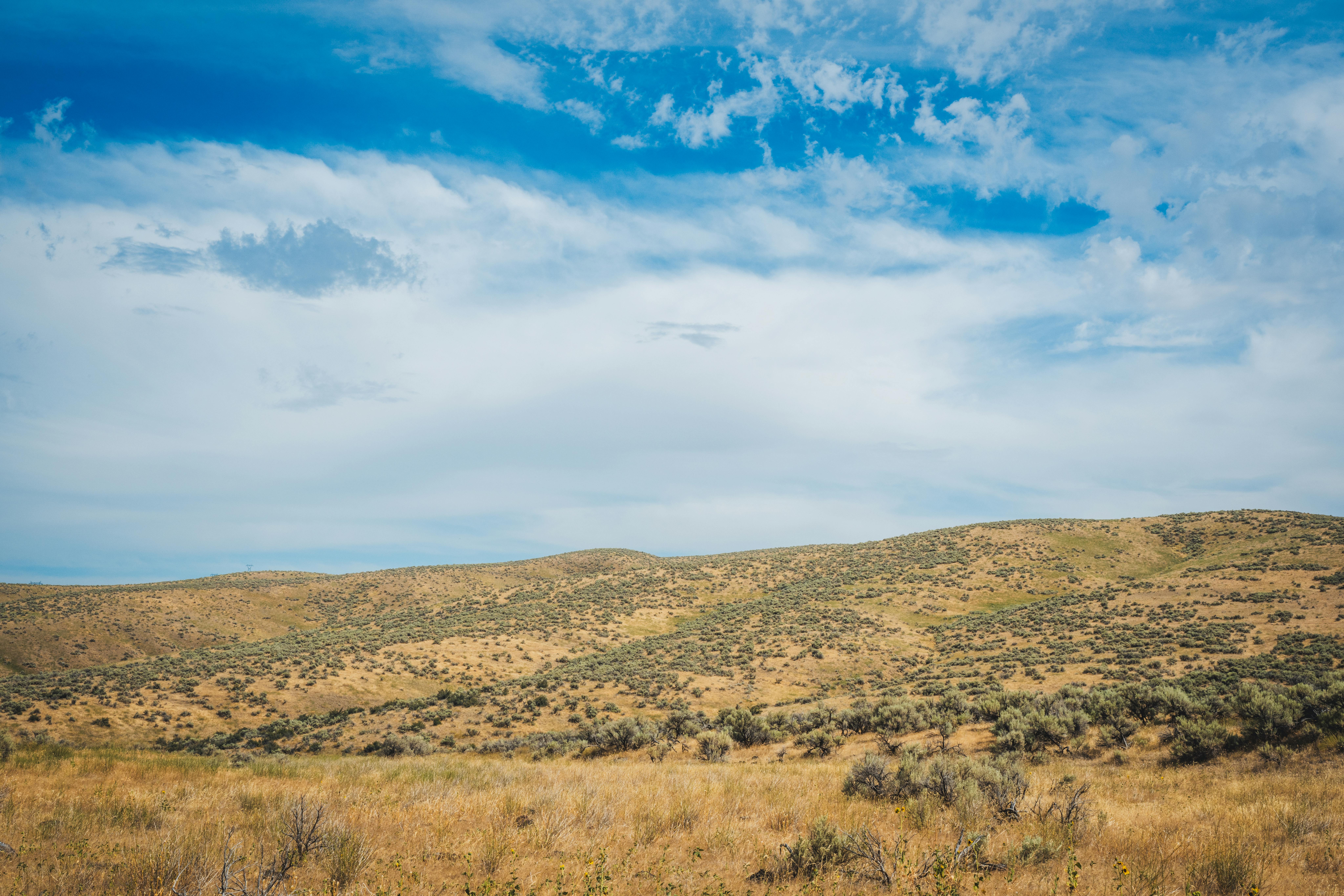 Idaho lawmakers eye reforms to child custody laws — Photo by Brett Sayles on Pexels