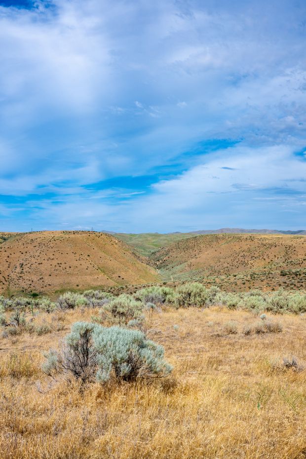 Arid hills under a wide blue sky near Boise, Idaho — photo by Brett Sayles on Pexels