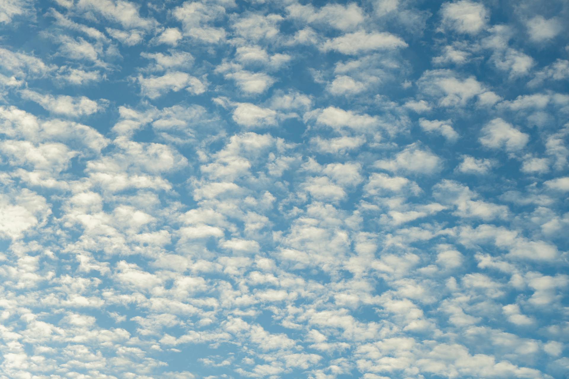 An expansive view of fluffy clouds scattered across a bright blue sky, depicting a serene atmosphere.