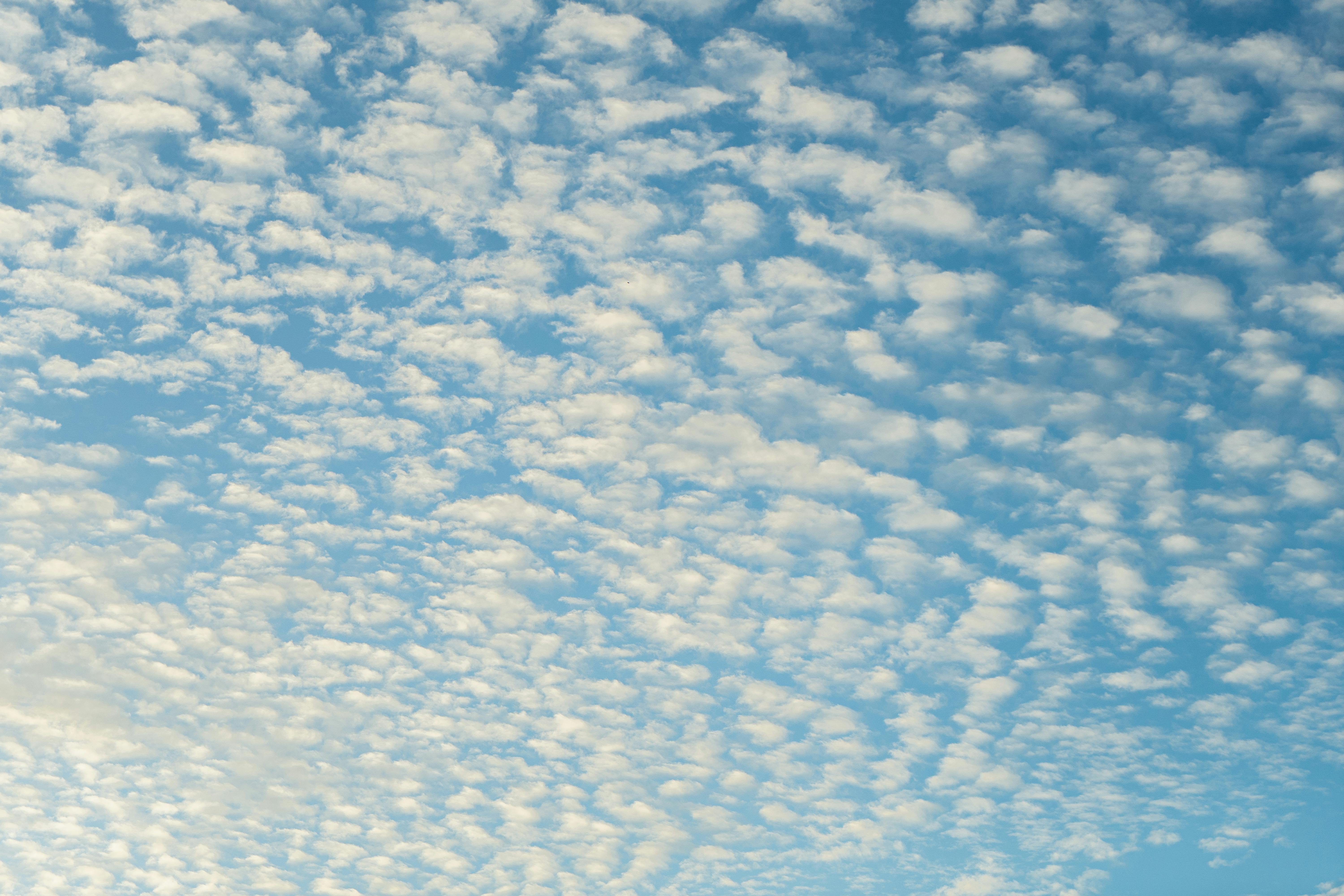 Stunning altocumulus clouds in the blue sky creating a serene and fluffy pattern.