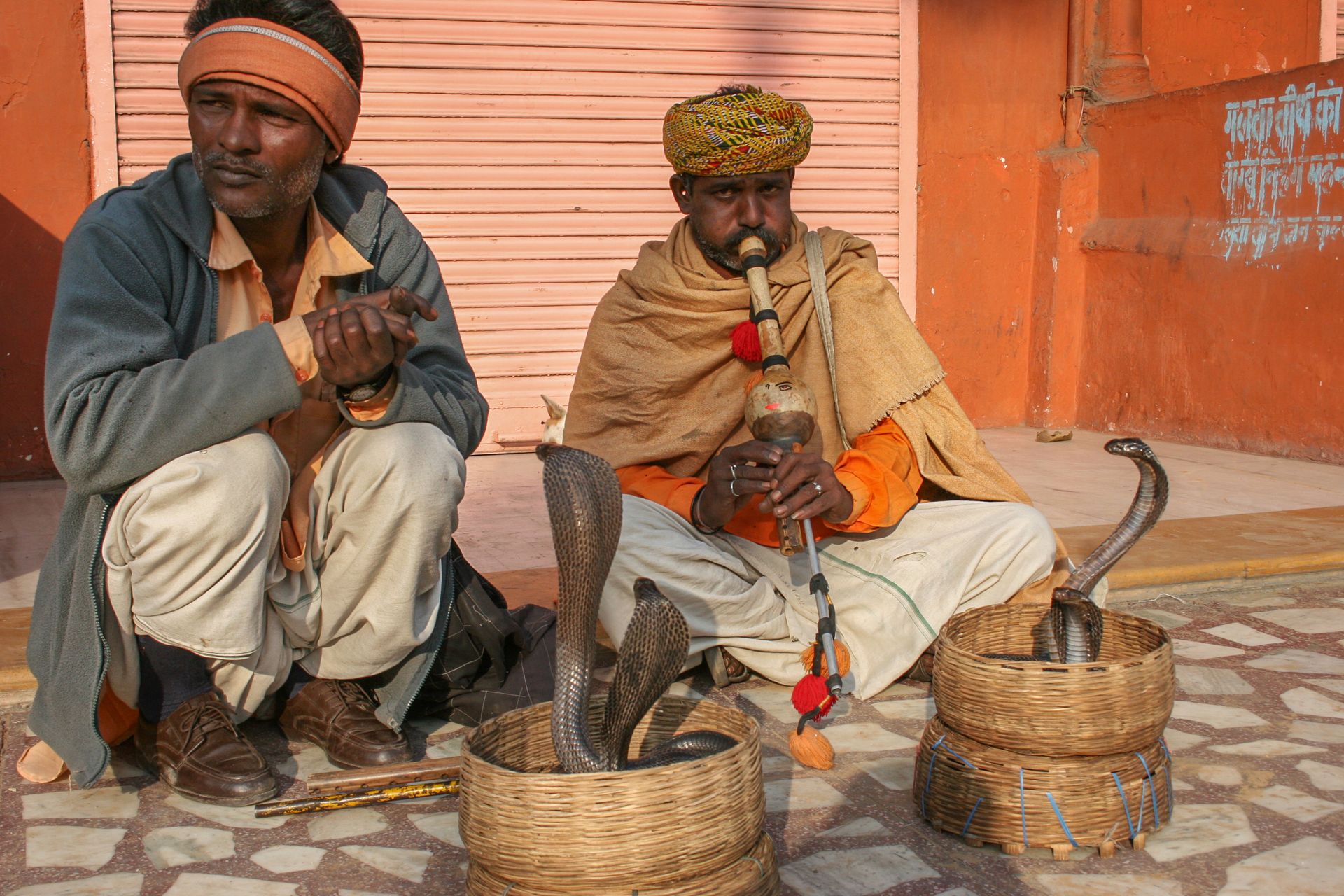Street snake charmers with cobras in Jaipur, showcasing cultural heritage.