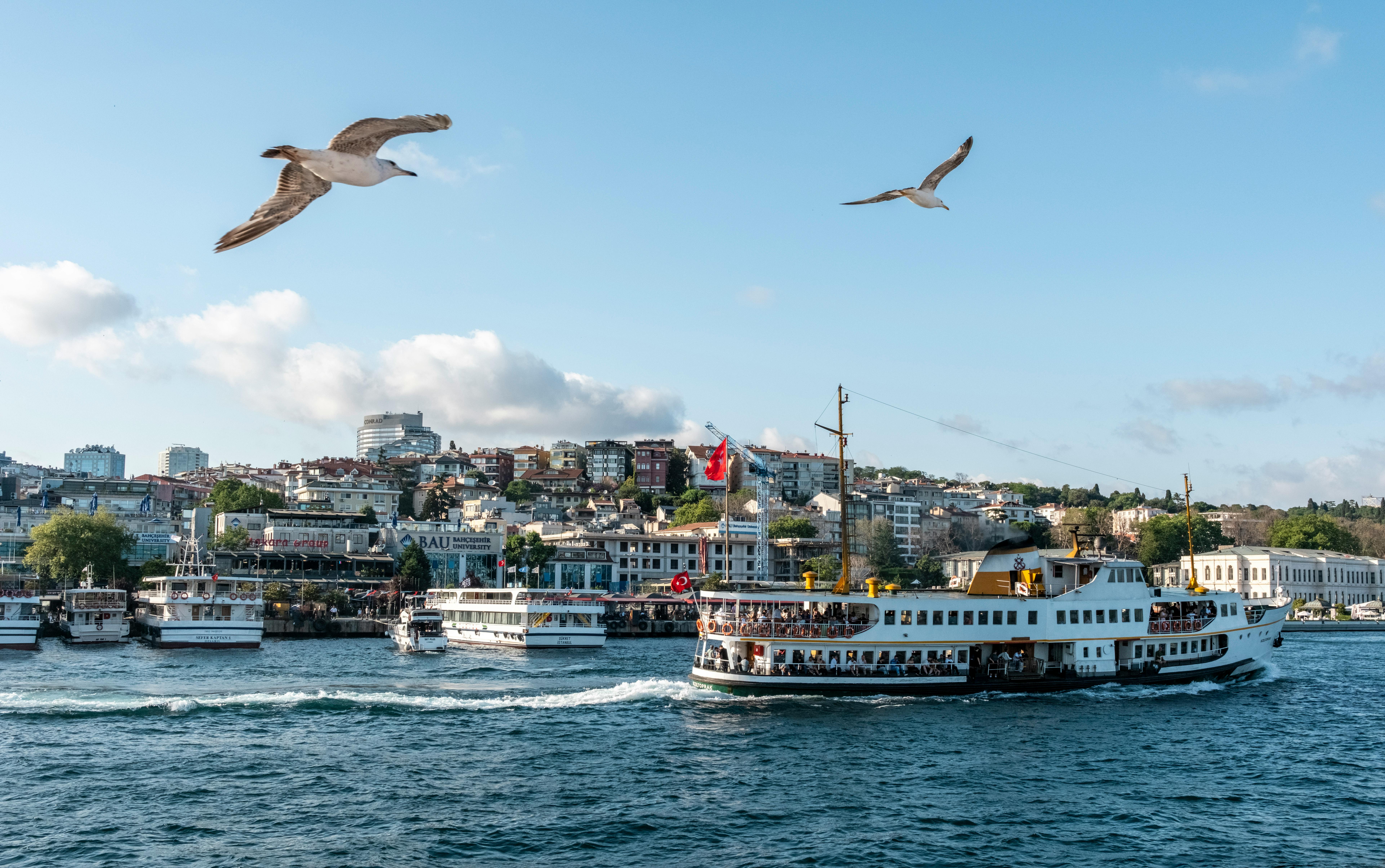 Gratuit Un ferry navigue sur le front de mer animé d'Istanbul, encadré par des mouettes et un paysage urbain emblématique. Photos
