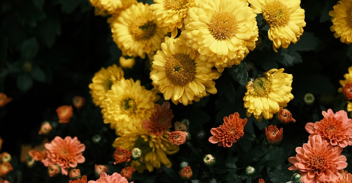 sample-blog-title-placeholder-2