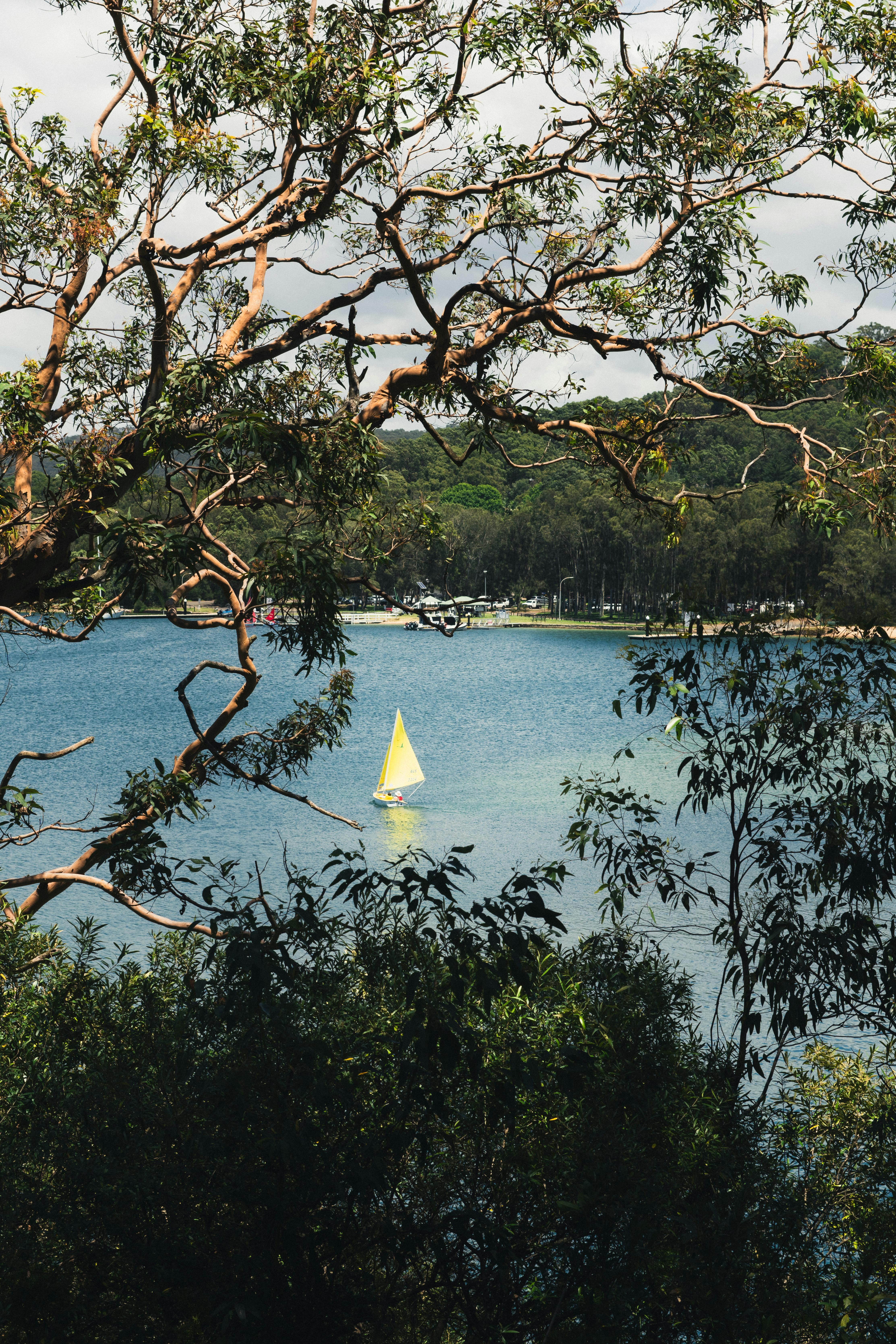 A tranquil scene of a yellow sailboat on a lake, framed by lush greenery.