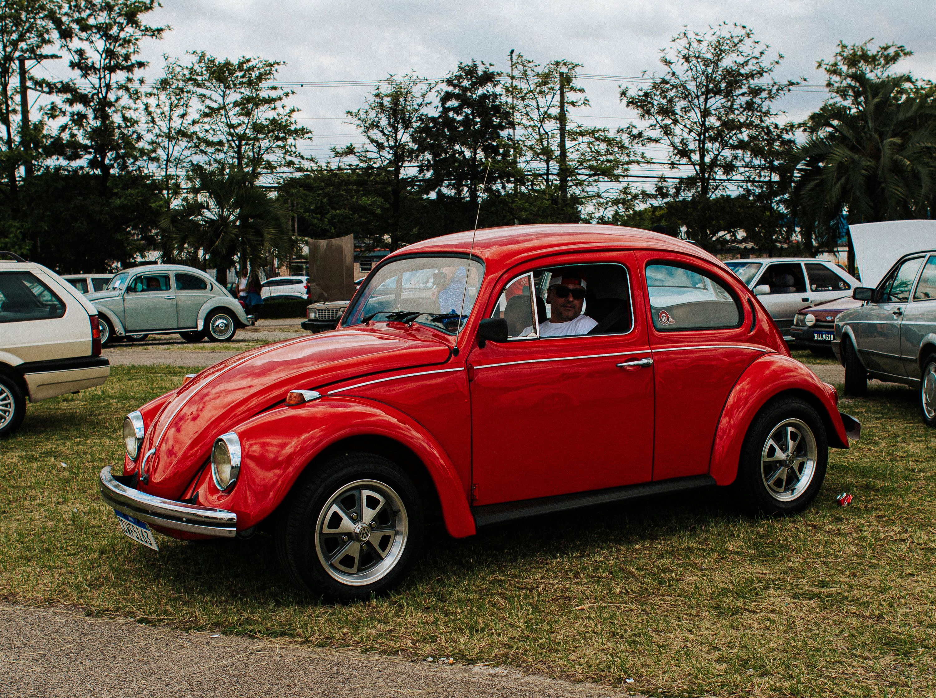 Photo by Emanuel Pedro on Pexels