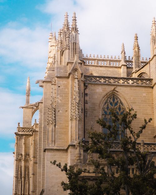 Free A captivating view of Seville Cathedral's intricate Gothic architecture in Andalusia, Spain. Stock Photo