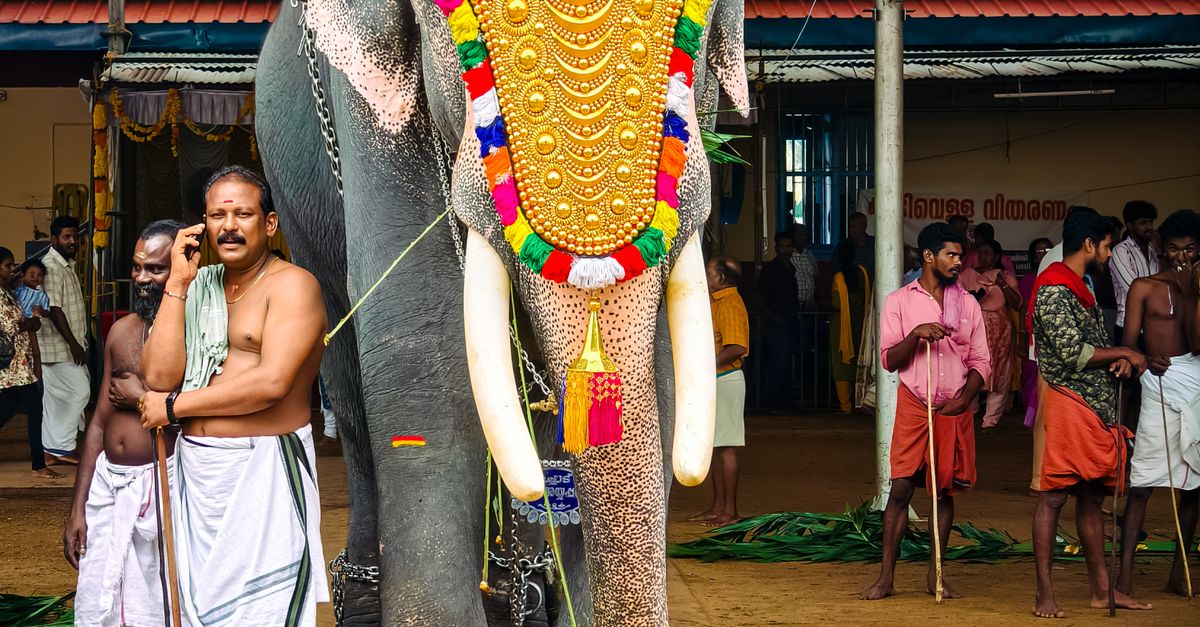 Cultural Elephant Festival In Kerala Temple Free Stock Photo Cultural Elephant Festival In Kerala Temple Free Stock Photo