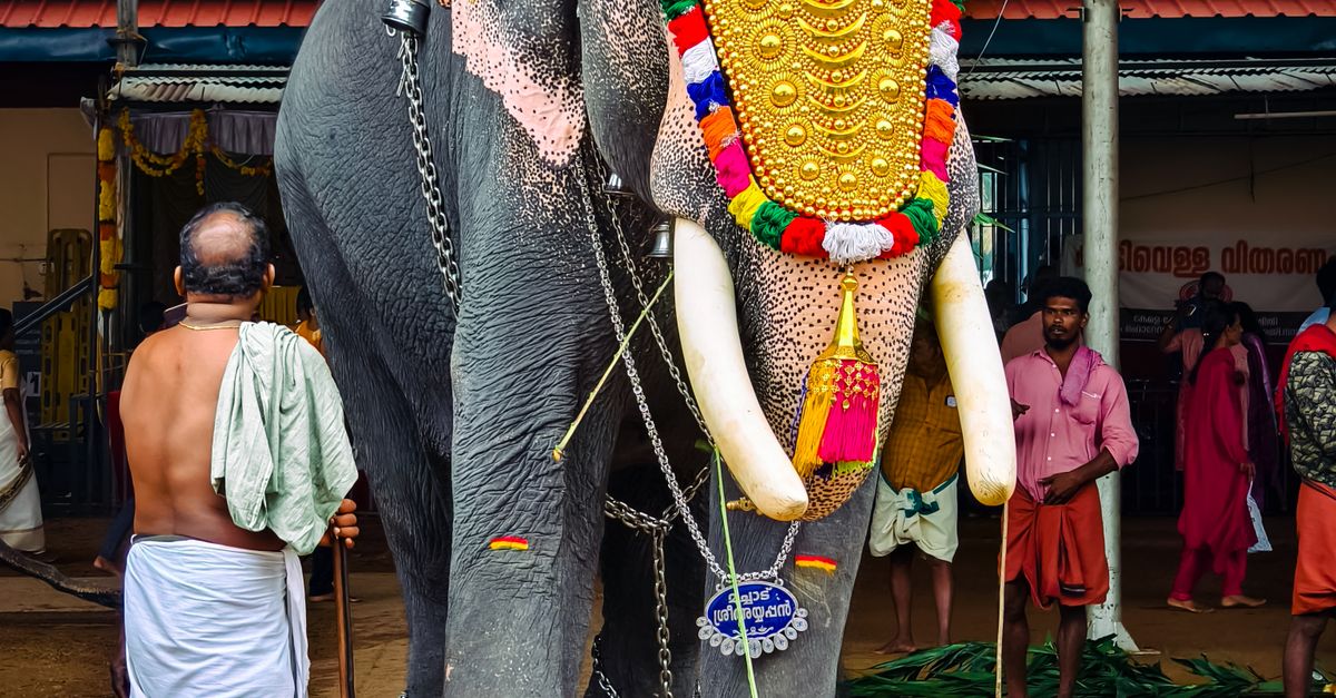 Elephant Welcome Ritual Ornately Decorated Elephant at a Traditional Ceremony · Free Stock Photo