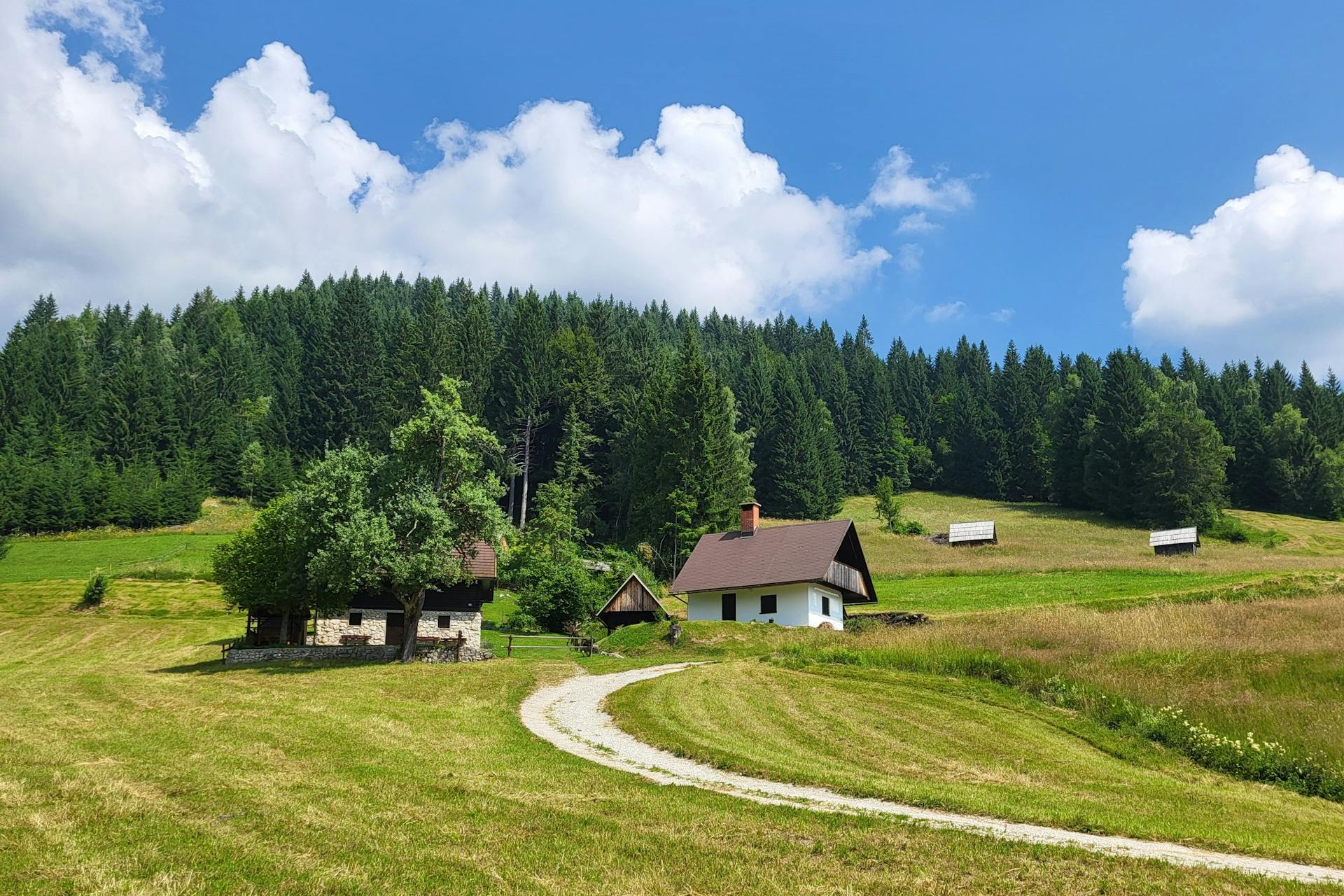 Charming farmhouse nestled in lush Slovenian meadows under a blue sky.